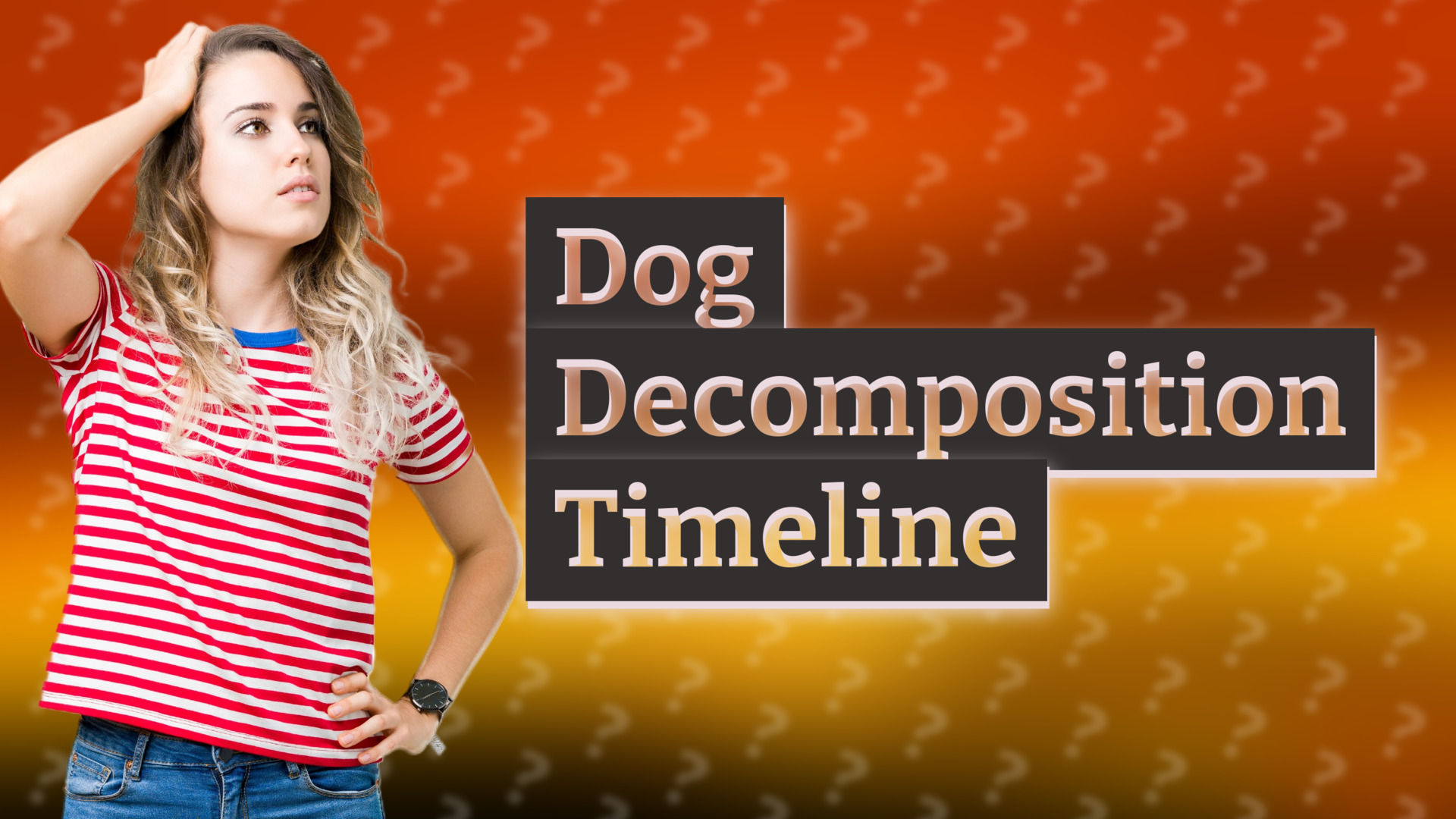 Dog Decomposition Timeline