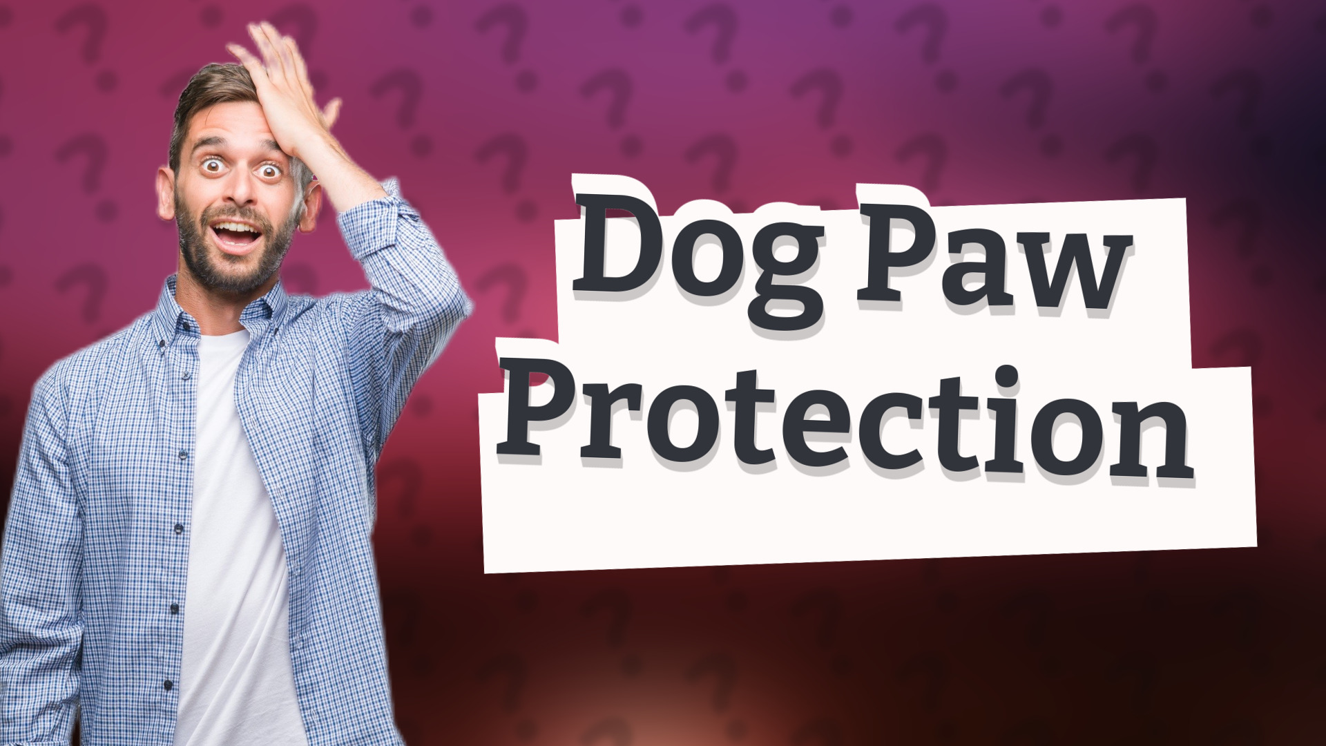 Dog Paw Protection