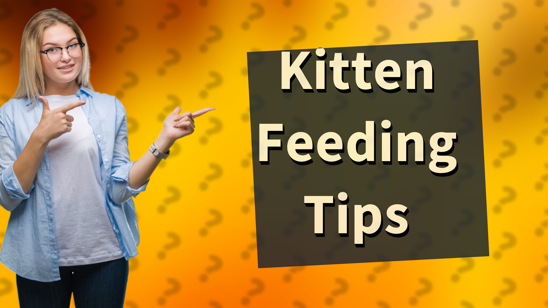 Kitten Feeding Tips