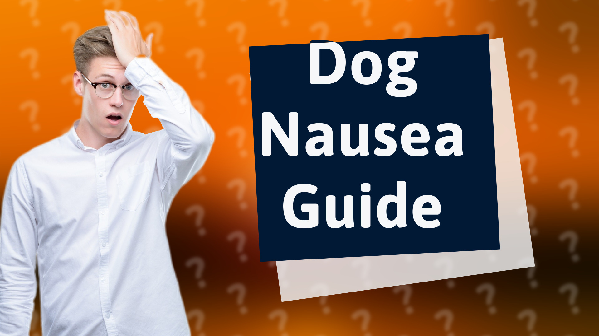 Dog Nausea Guide
