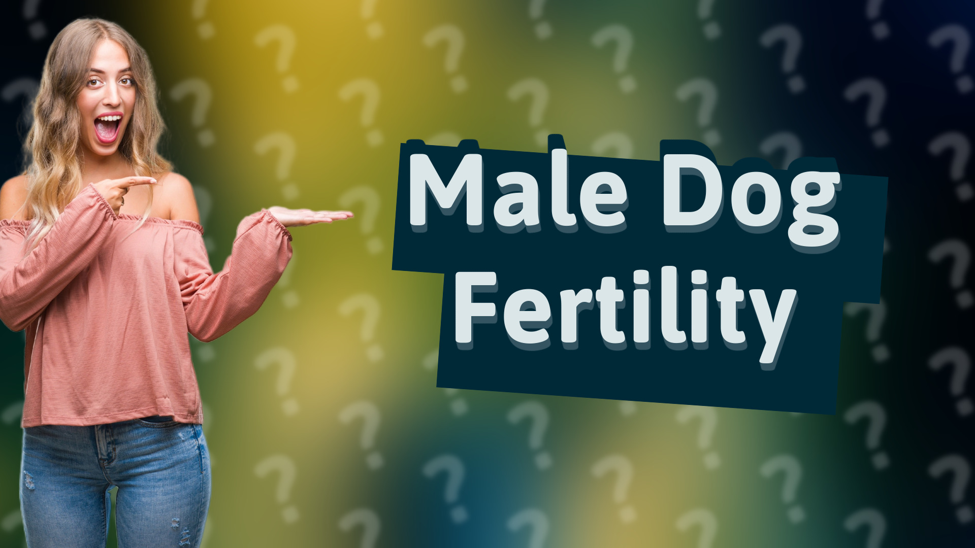 Male Dog Fertility