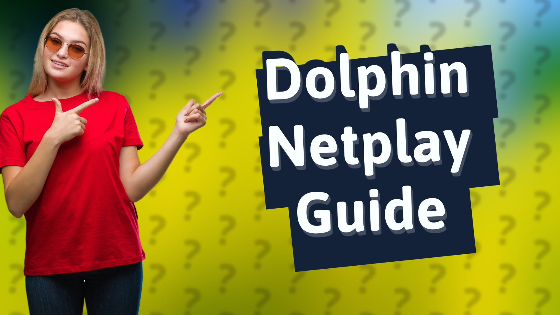 Dolphin Netplay Guide