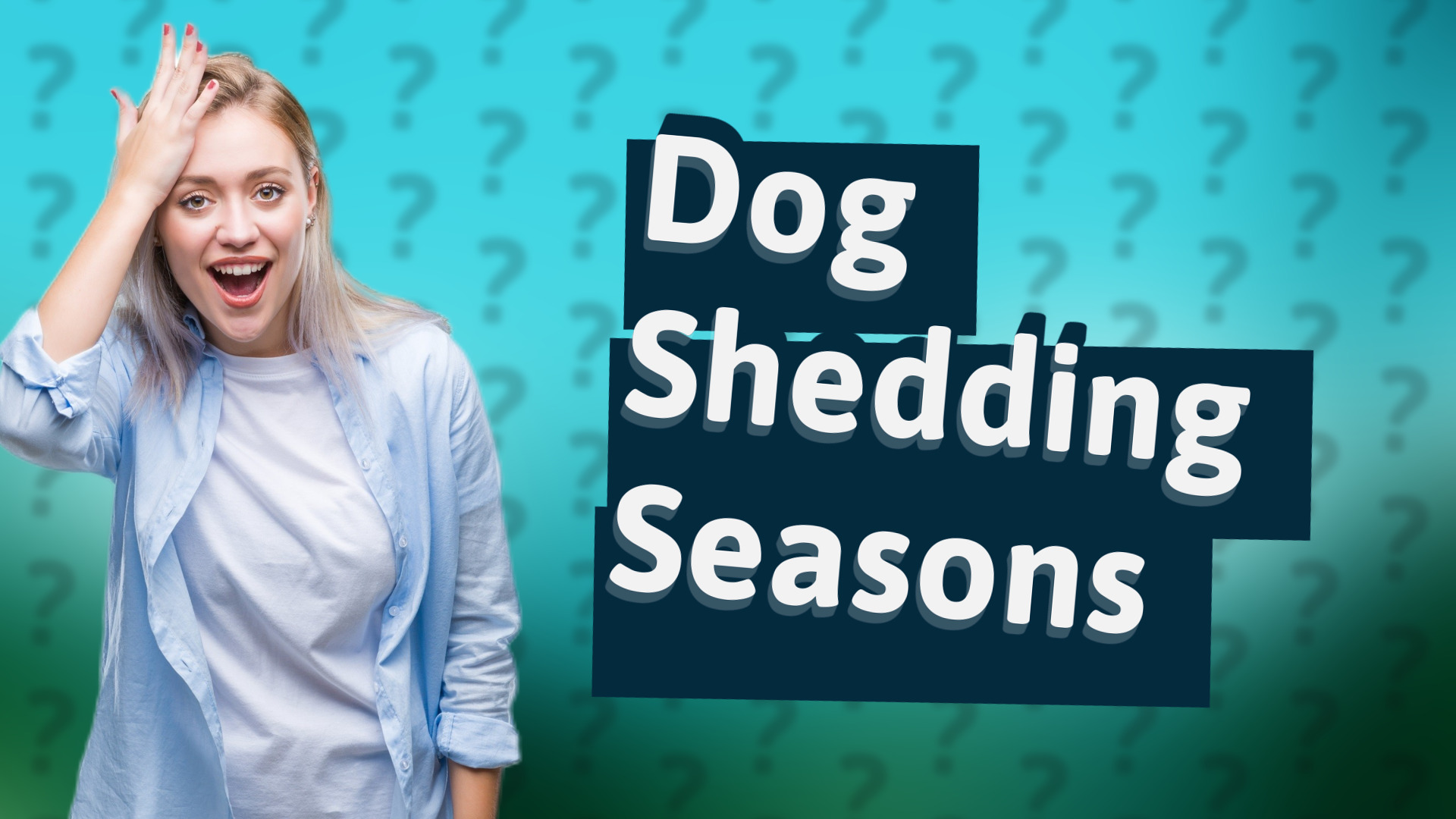 Dog Shedding Seasons