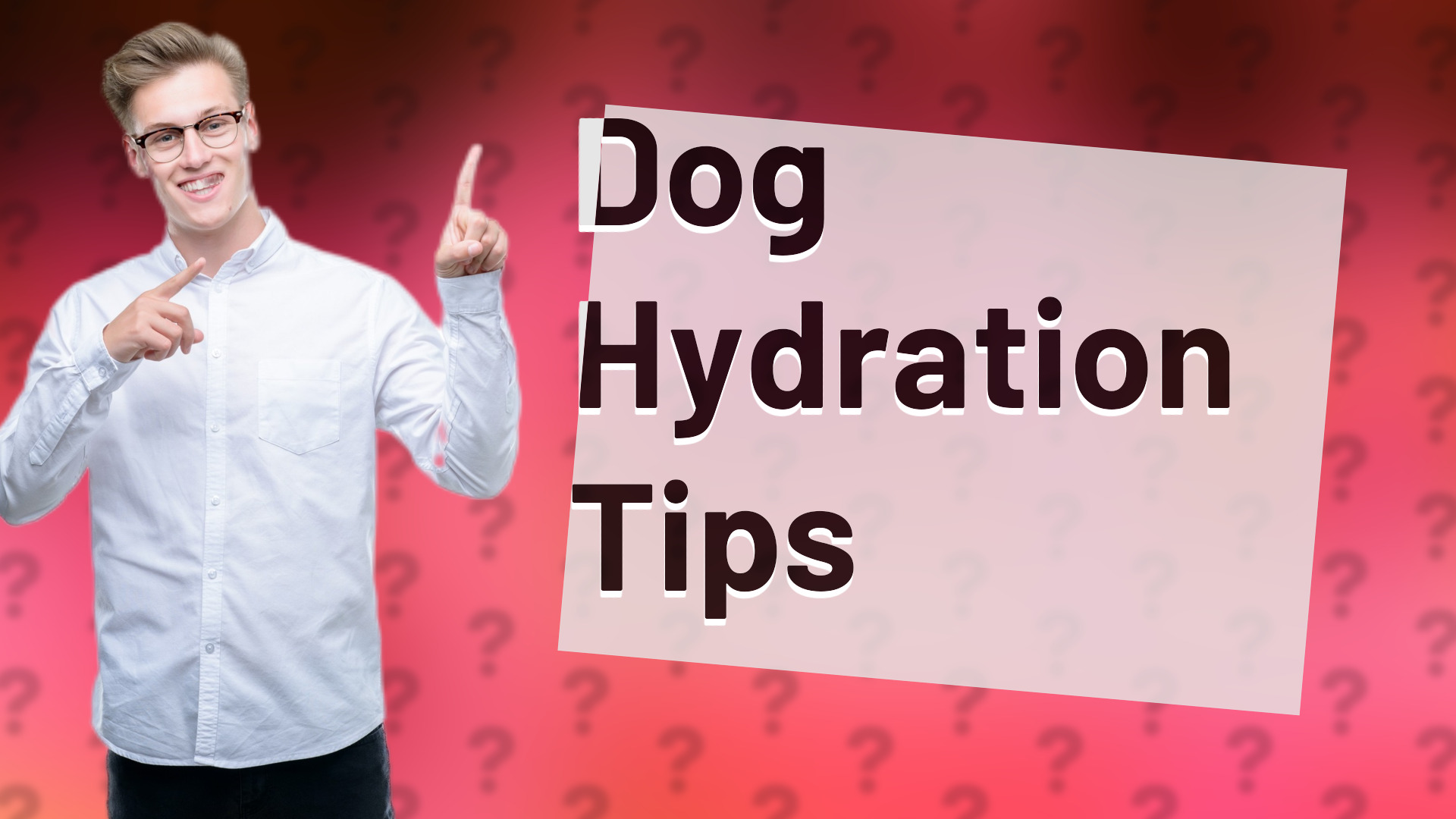 Dog Hydration Tips