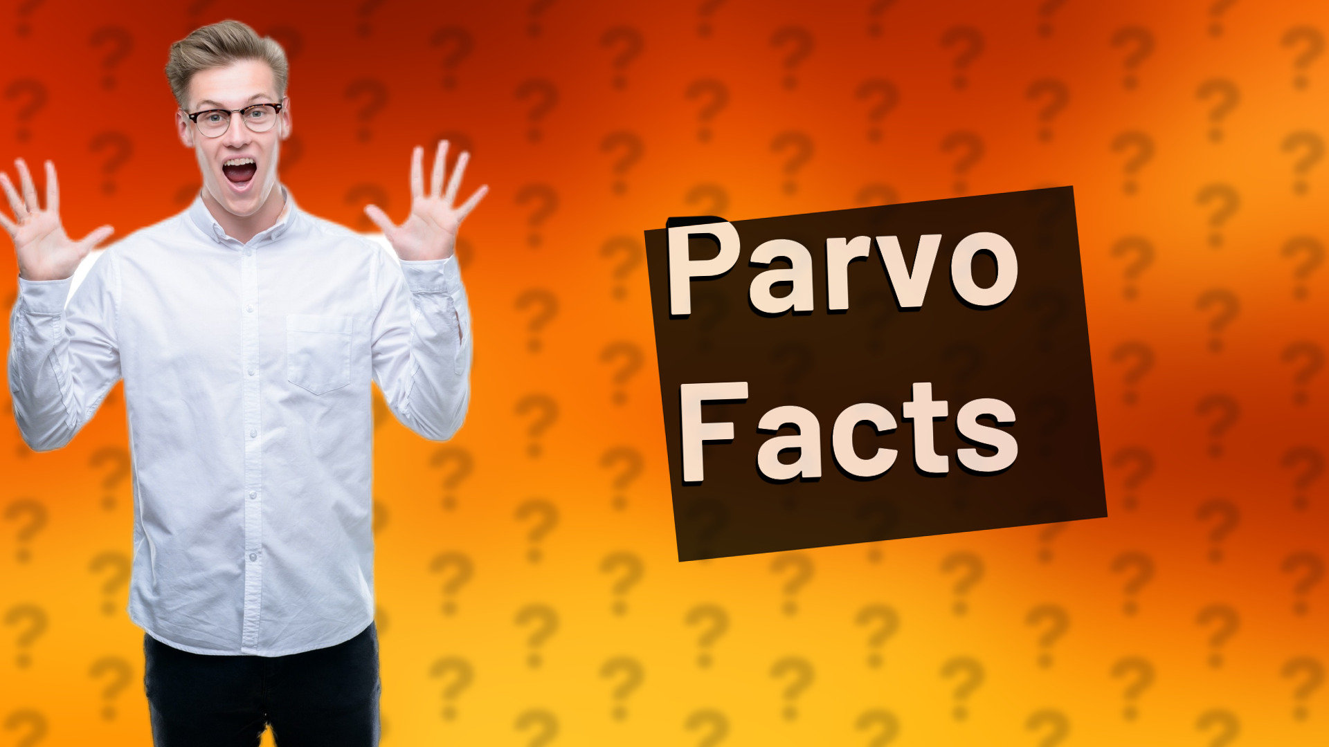 Parvo Facts