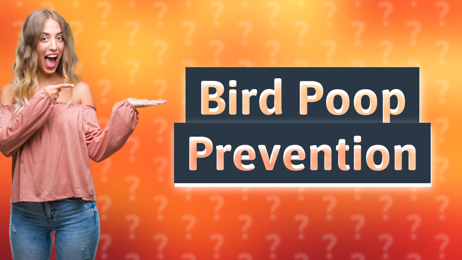 Bird Poop Prevention
