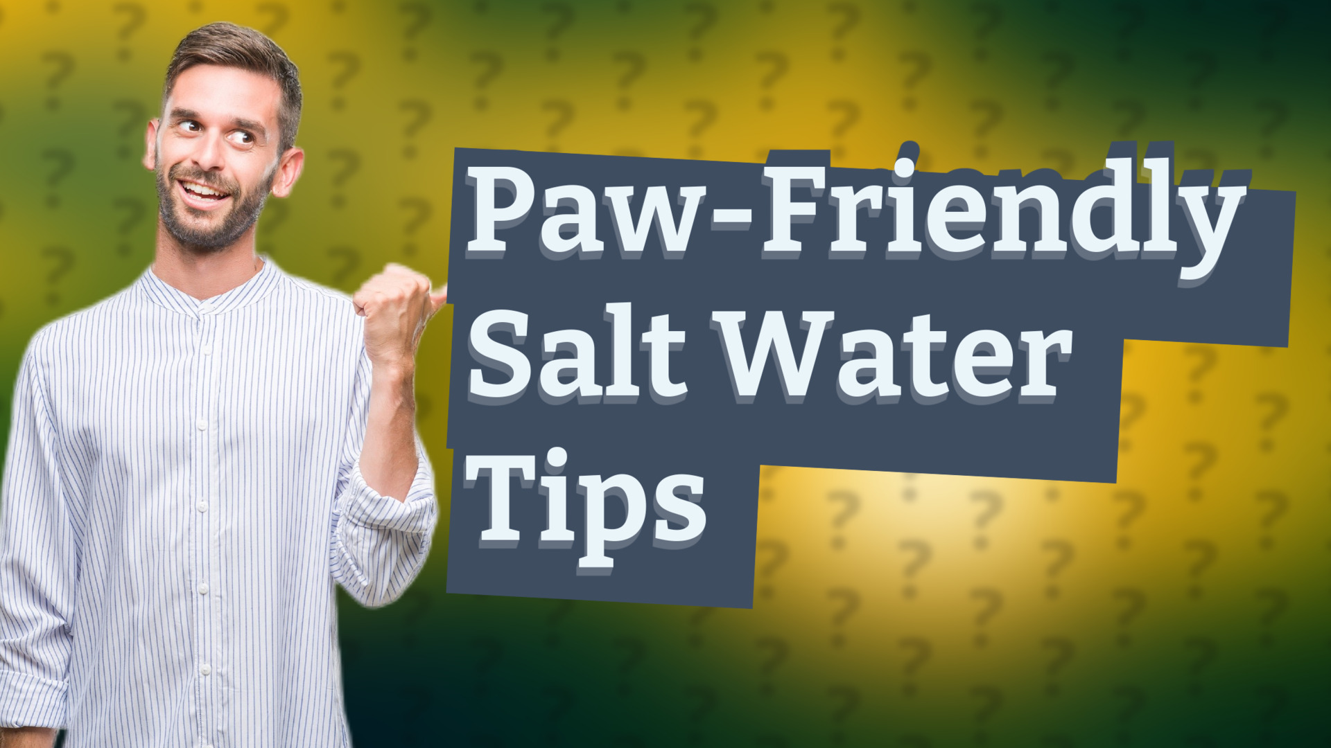 Paw-Friendly Salt Water Tips