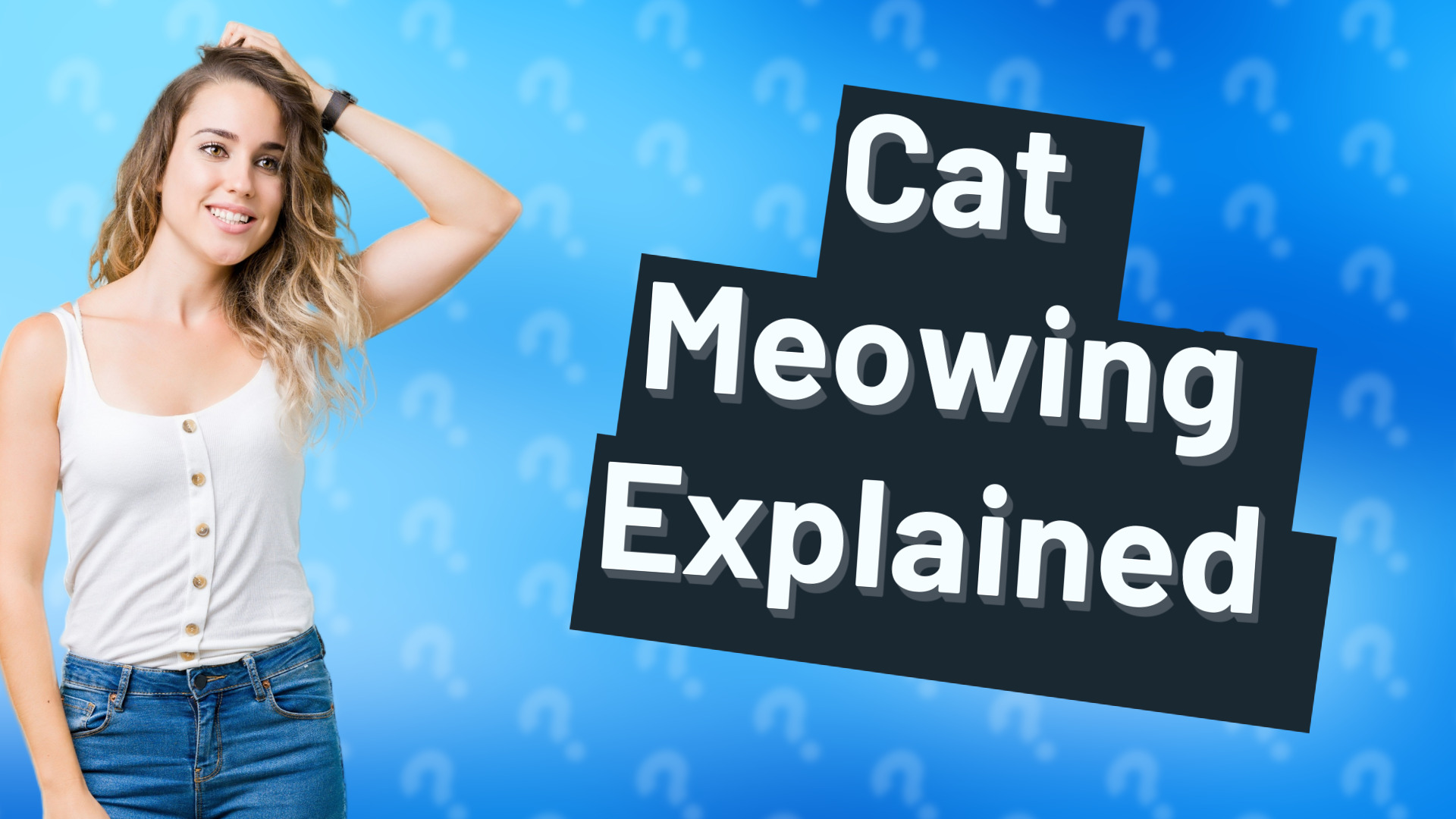 Cat Meowing Explained