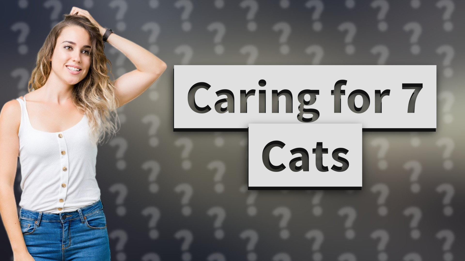 Caring for 7 Cats
