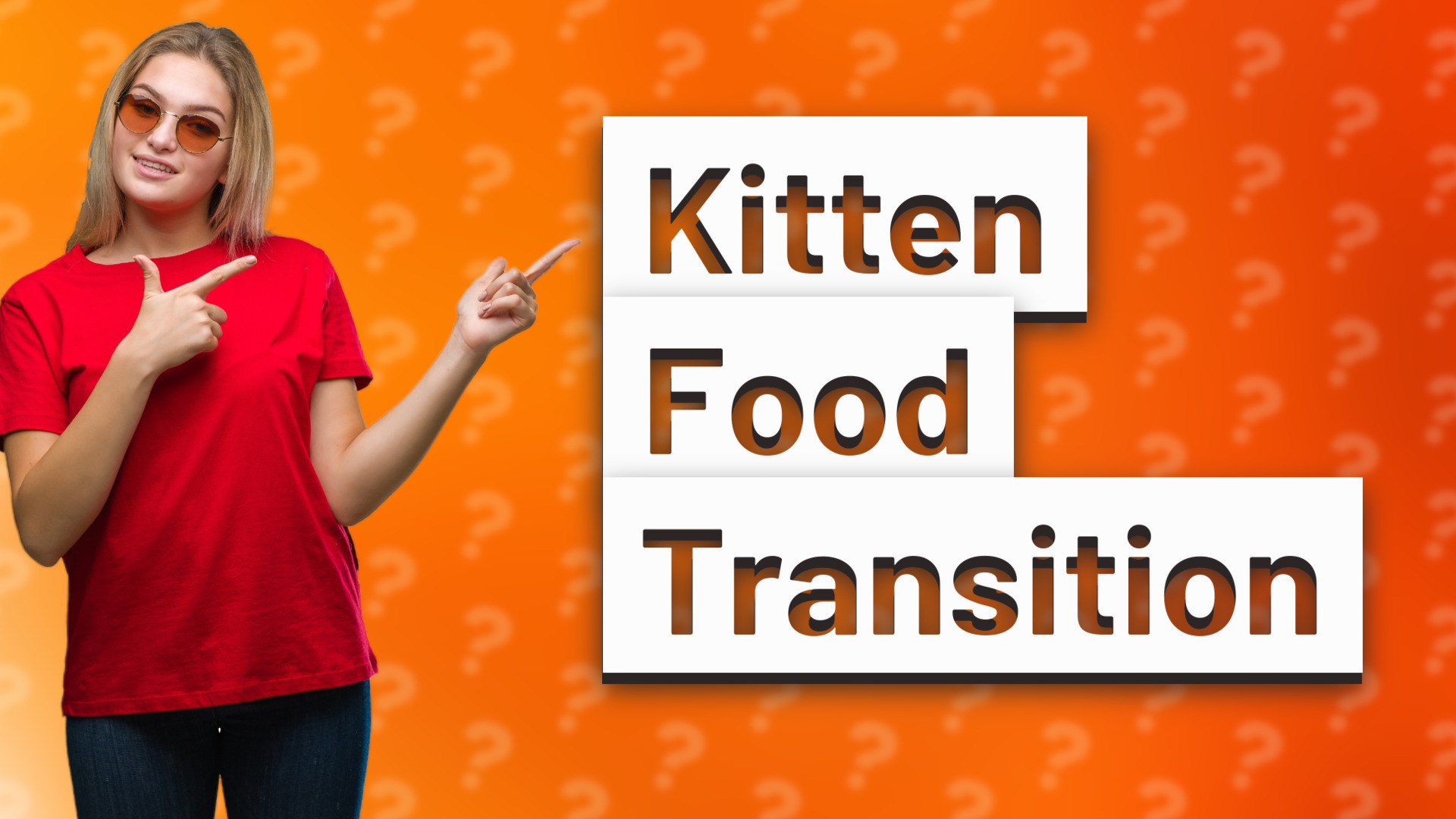 Kitten Food Transition