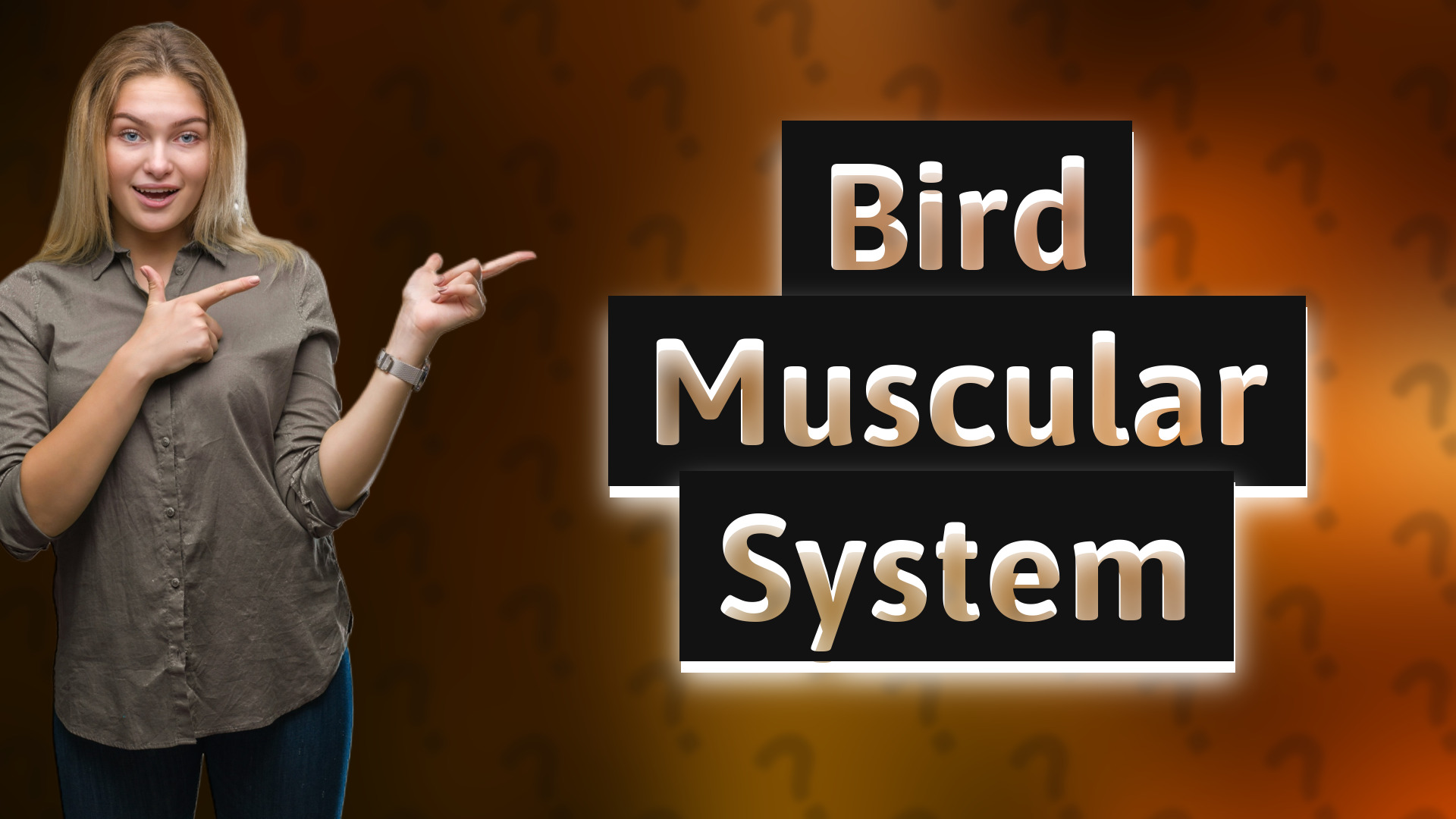 Bird Muscular System