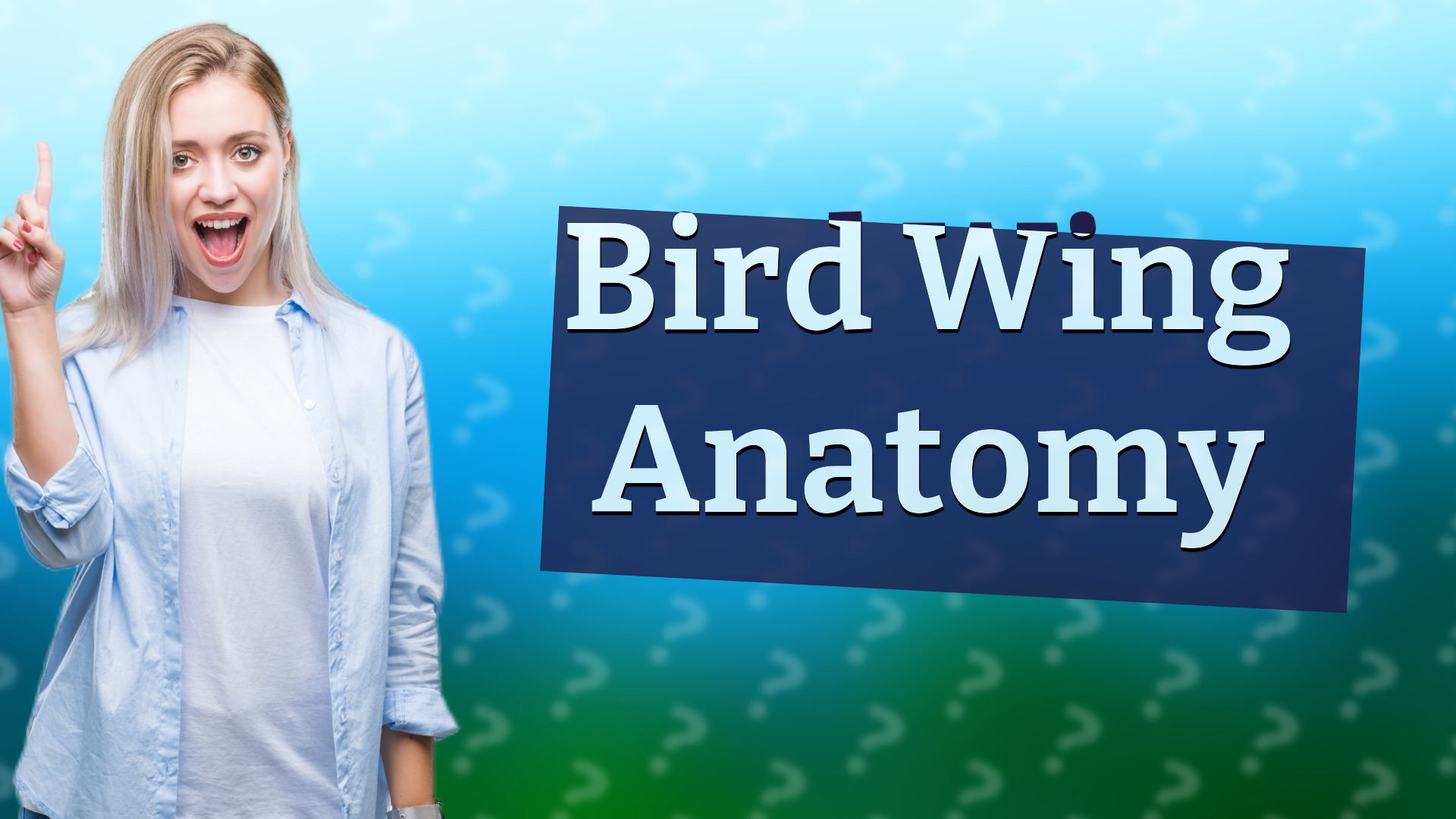 Bird Wing Anatomy