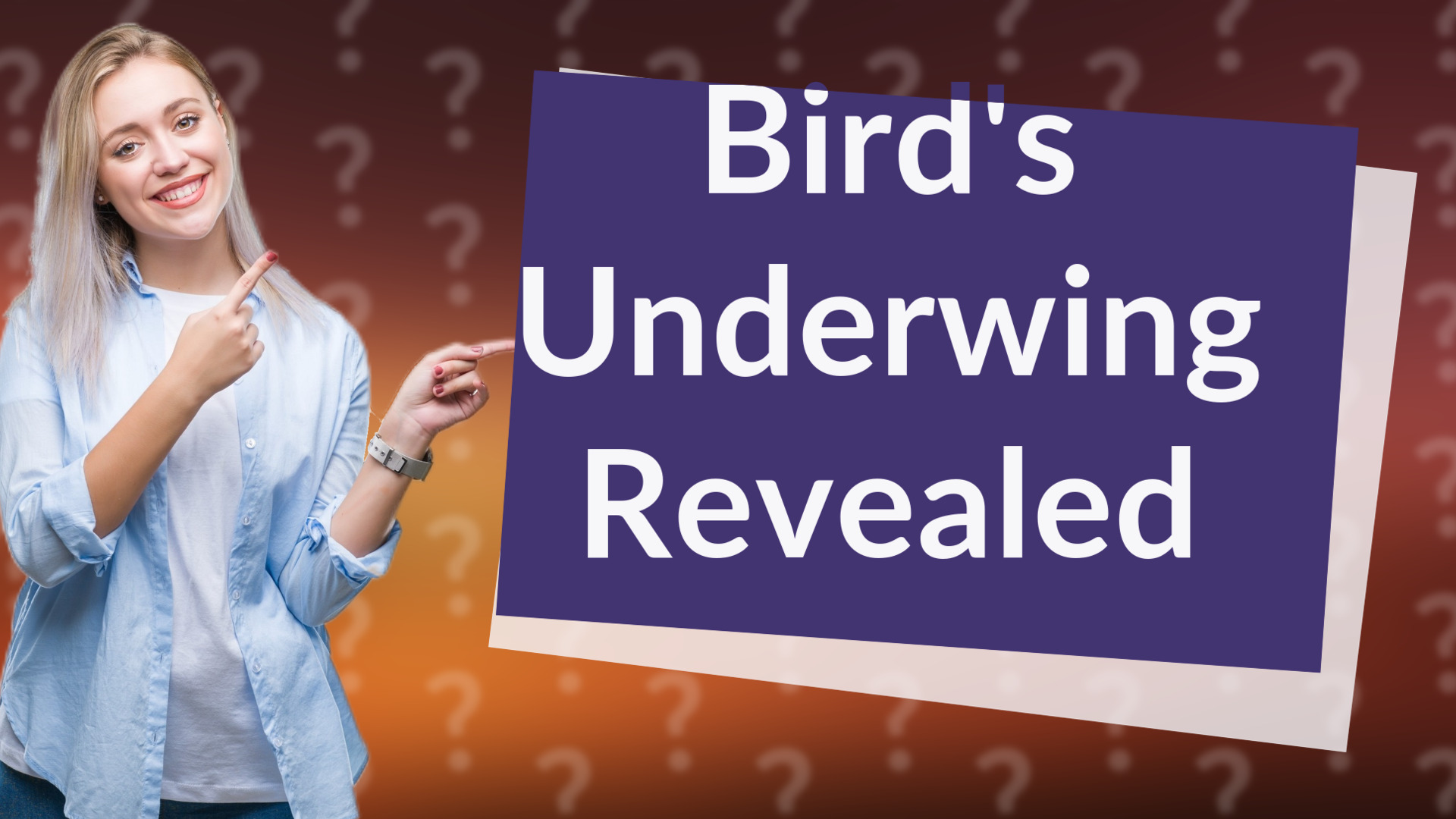 Bird's Underwing Revealed