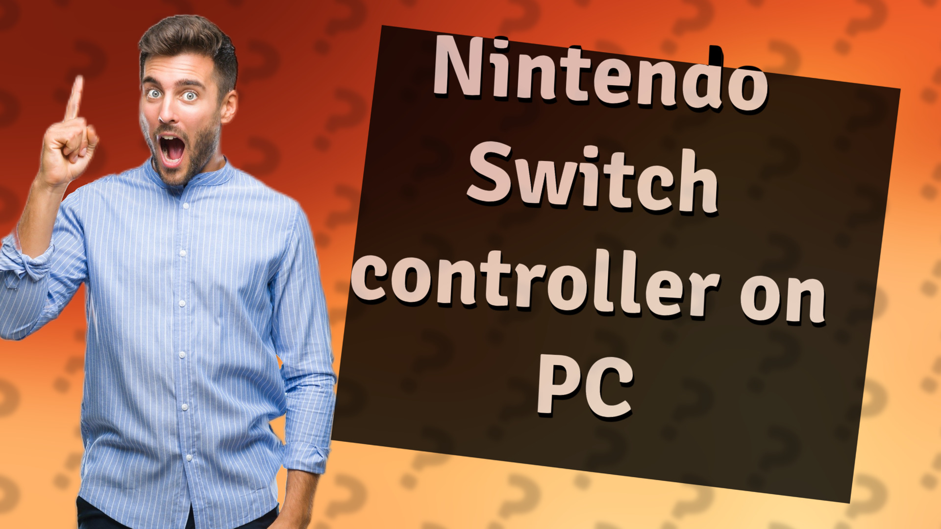 Nintendo Switch controller on PC