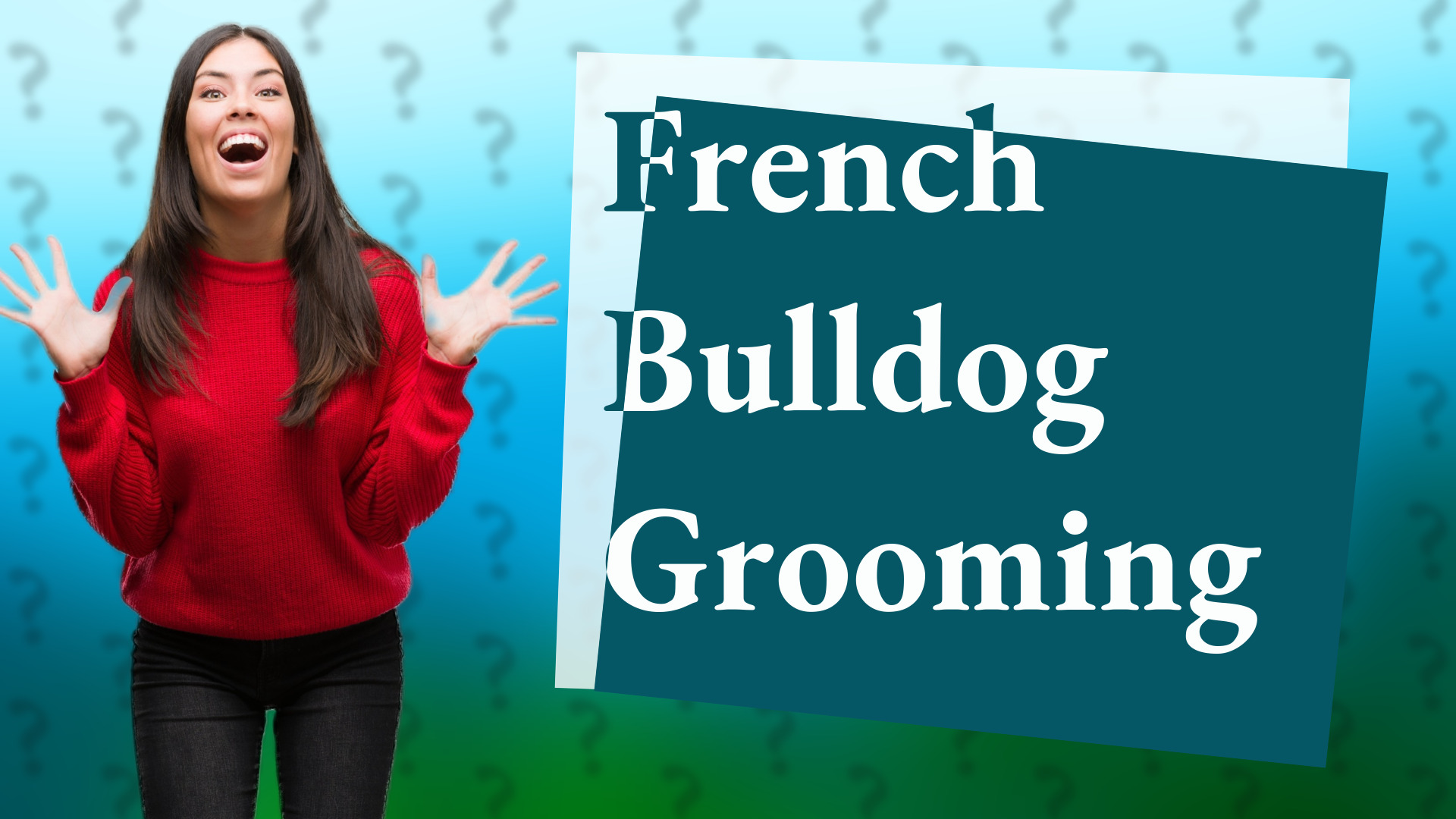 French Bulldog Grooming