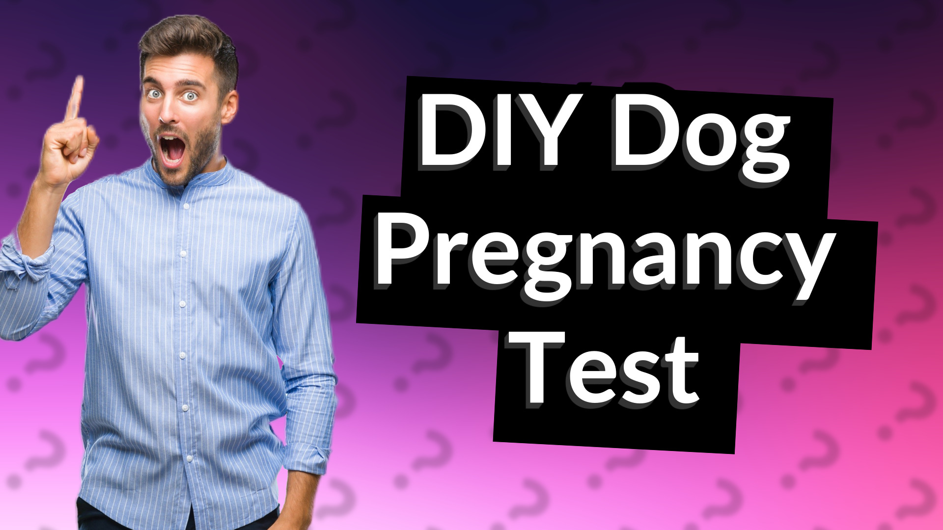 DIY Dog Pregnancy Test