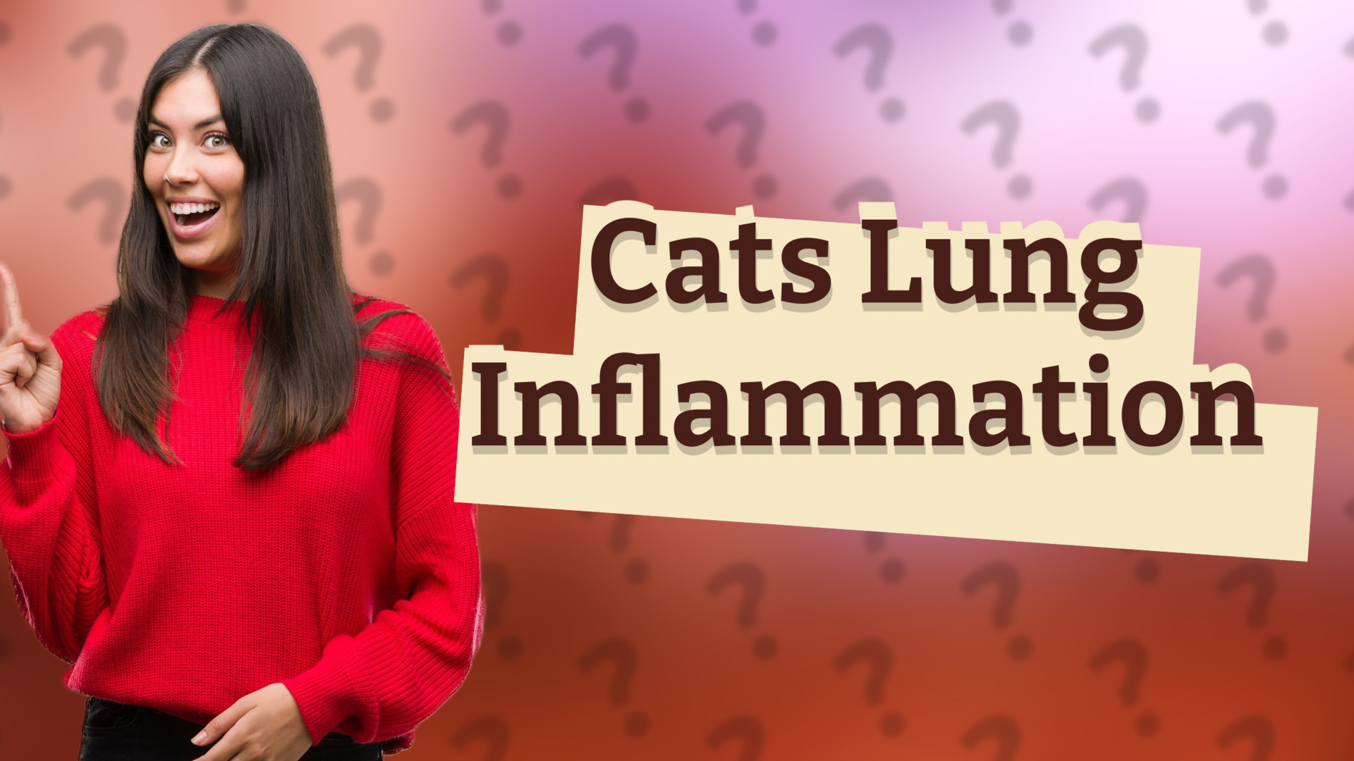 Cats Lung Inflammation