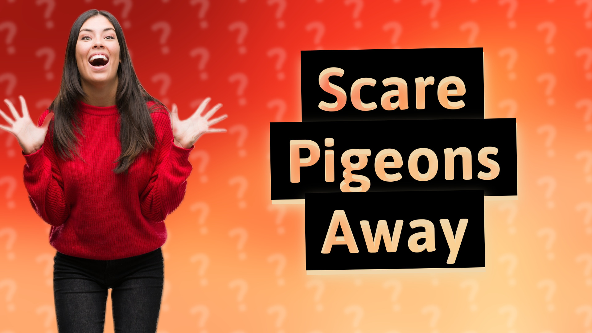 Scare Pigeons Away