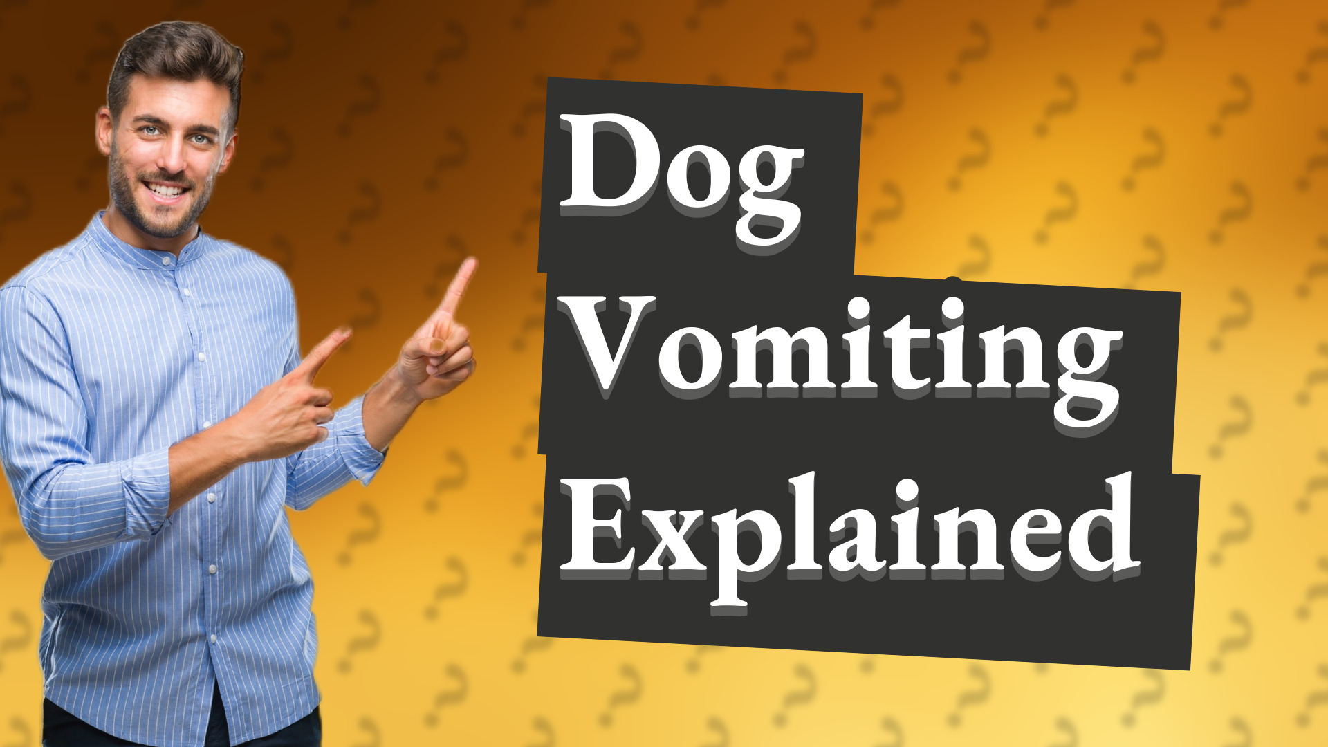 Dog Vomiting Explained