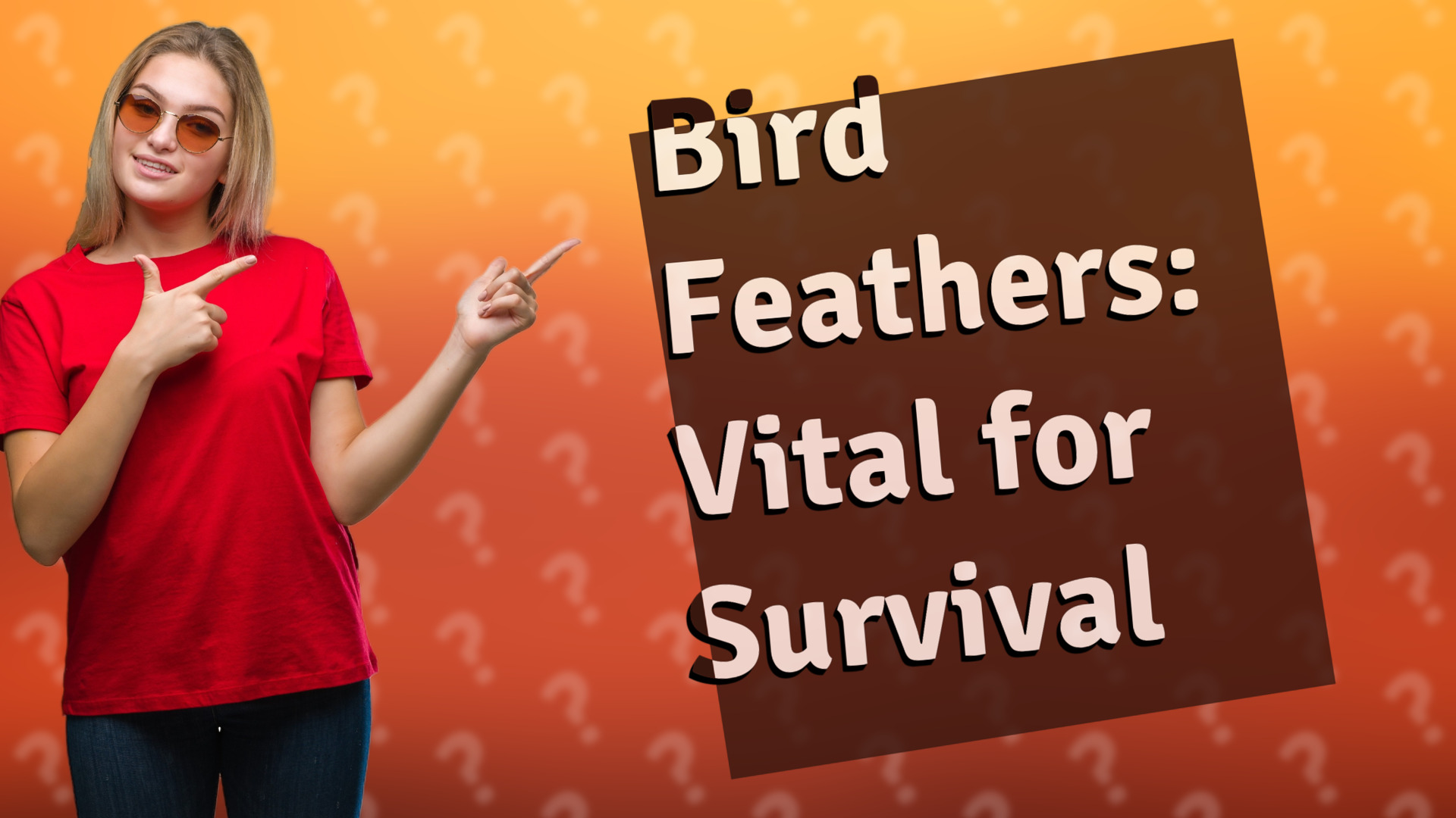 Bird Feathers: Vital for Survival
