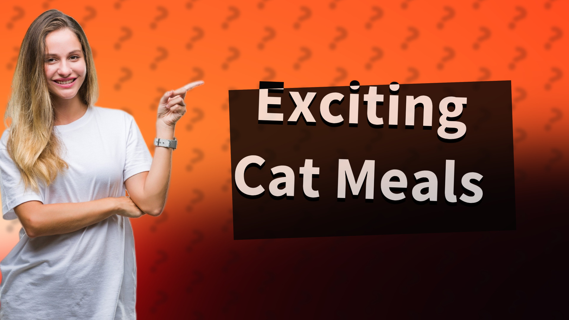 Exciting Cat Meals