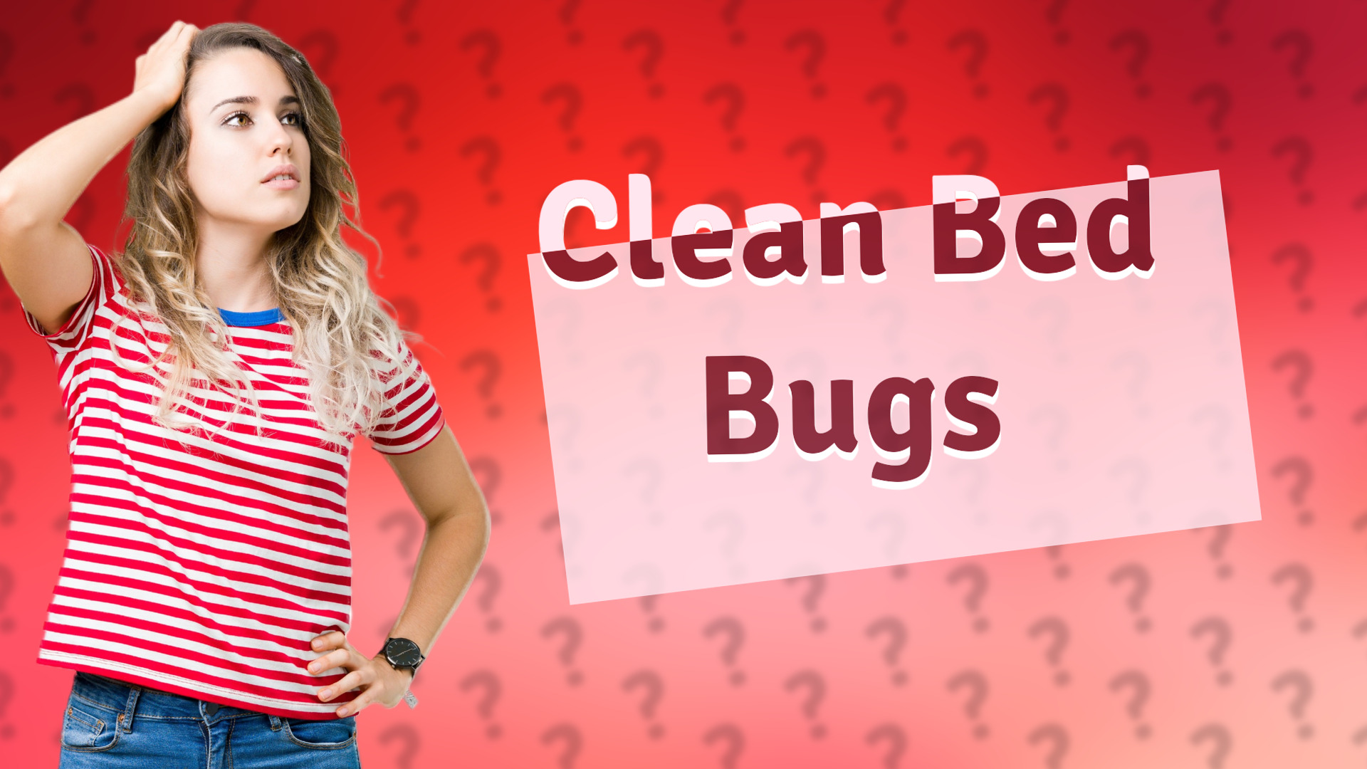 Clean Bed Bugs