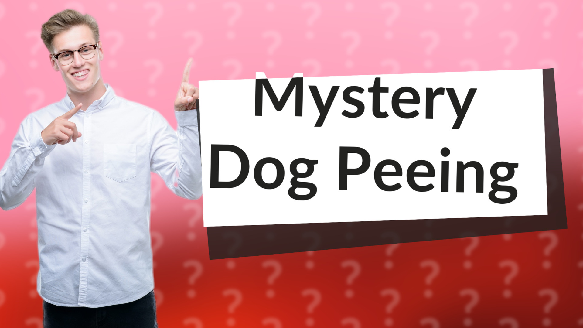 Mystery Dog Peeing