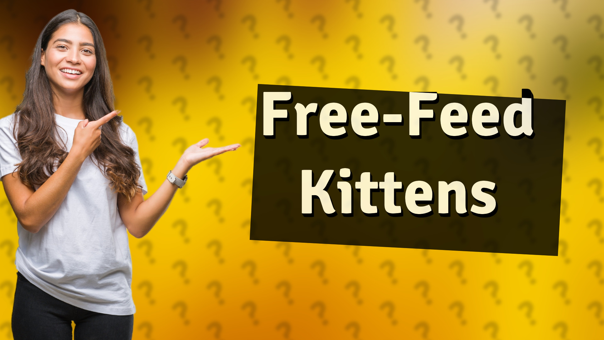 Free-Feed Kittens