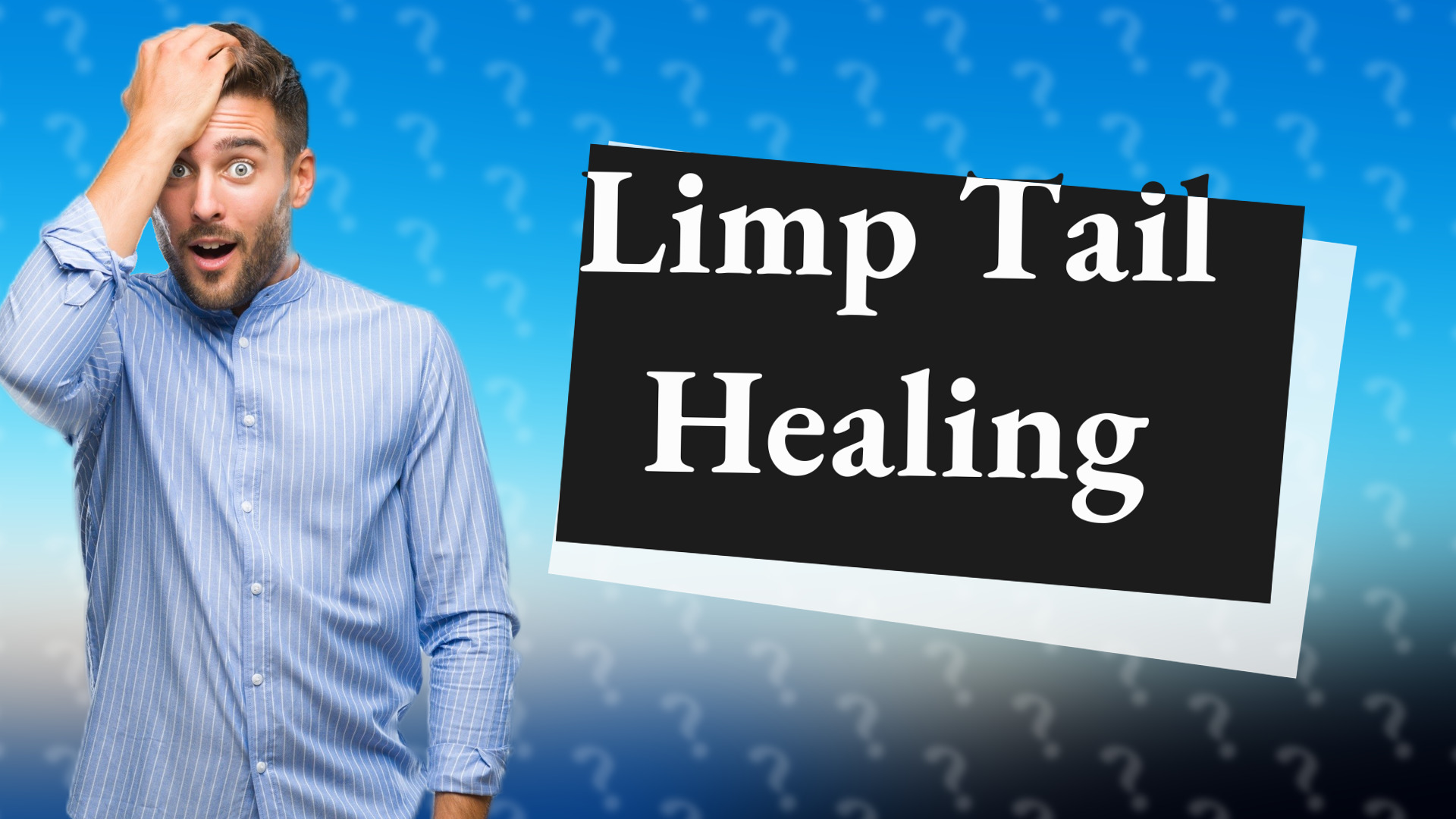Limp Tail Healing