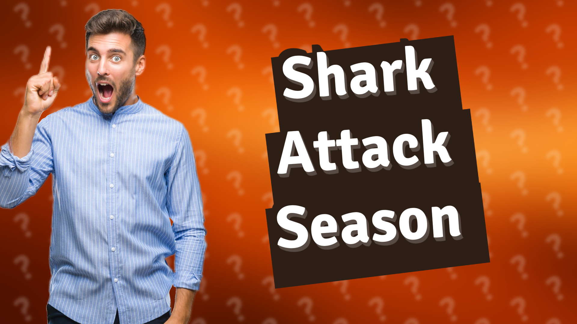 Shark Attack Season
