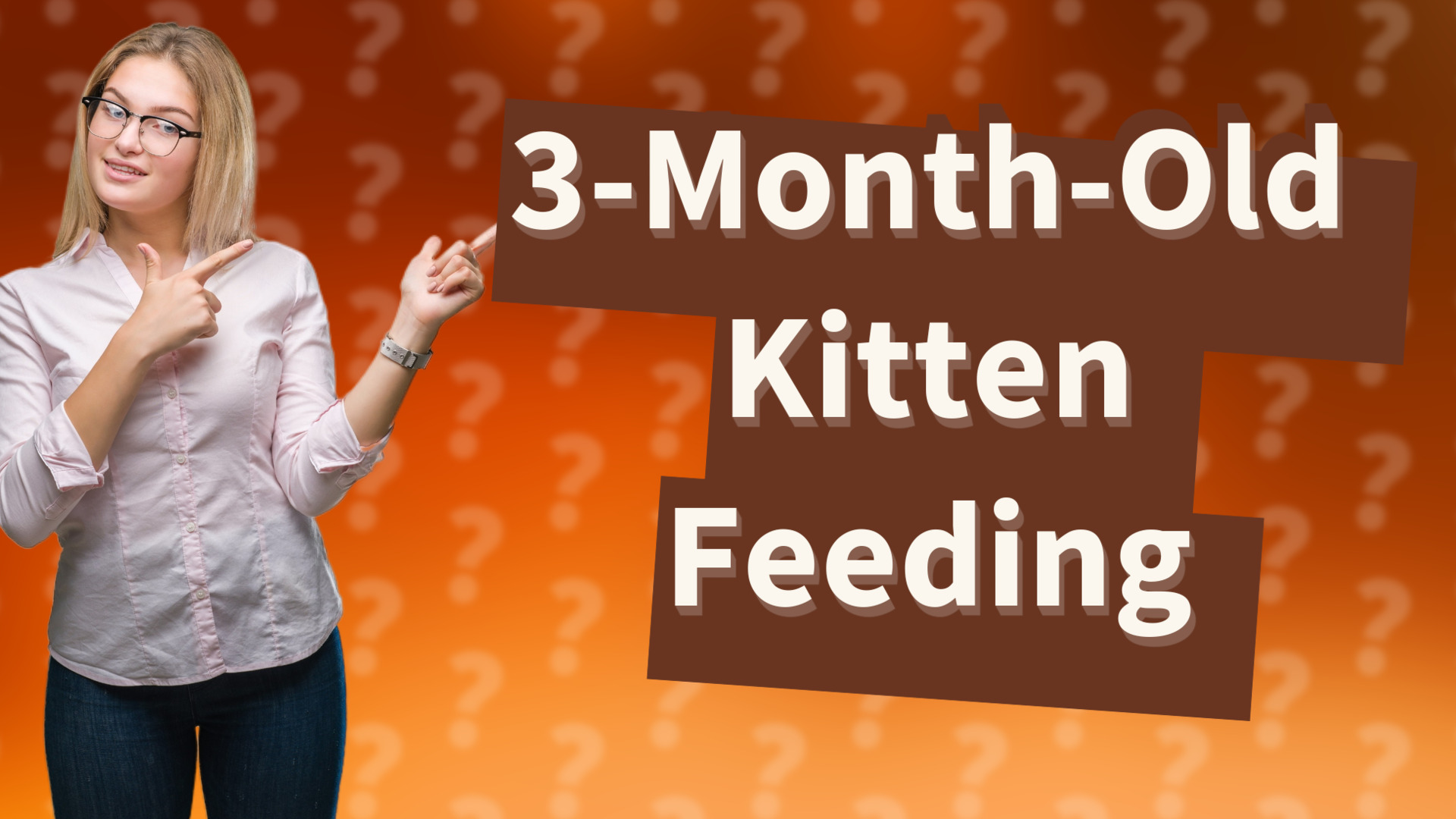 3-Month-Old Kitten Feeding