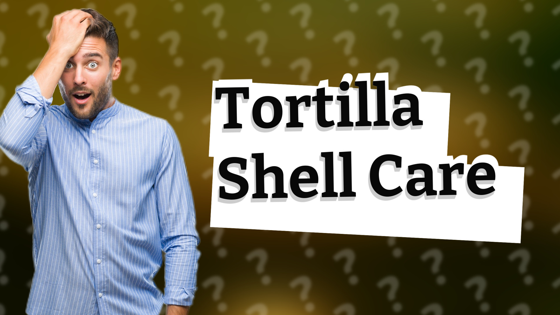 Tortilla Shell Care