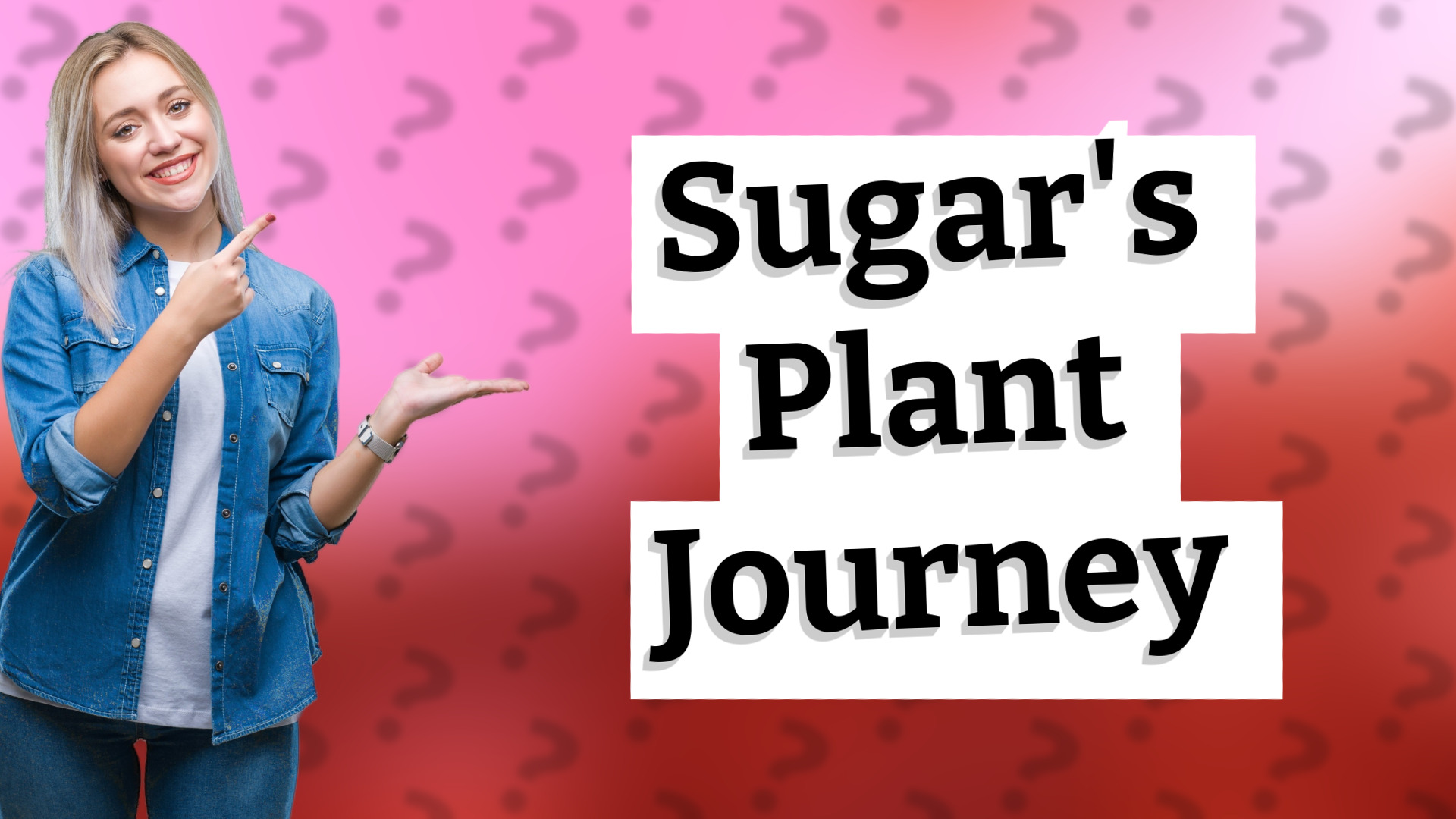 Sugar's Plant Journey