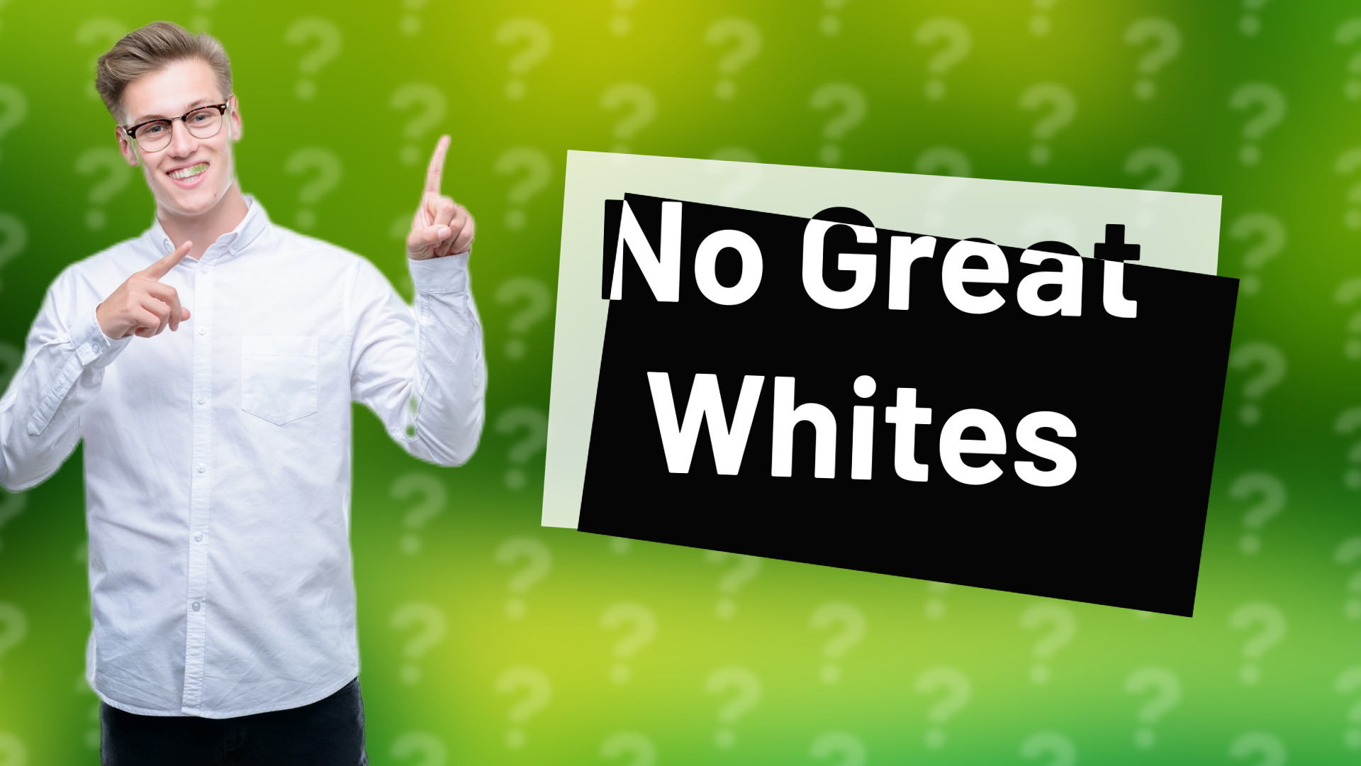 No Great Whites