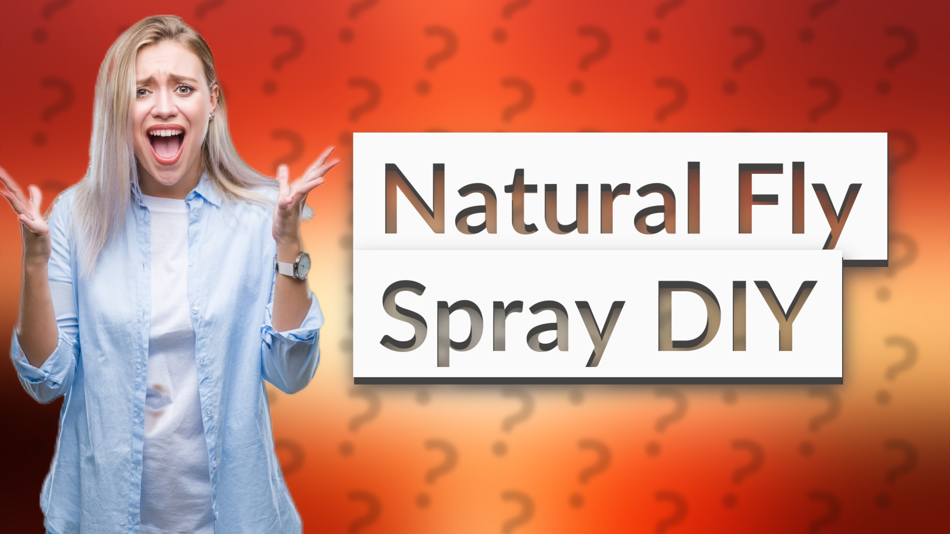 Natural Fly Spray DIY