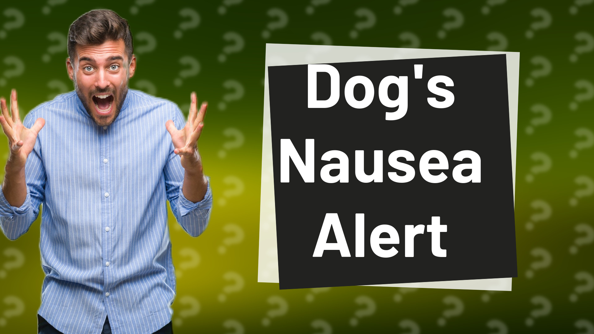 Dog's Nausea Alert