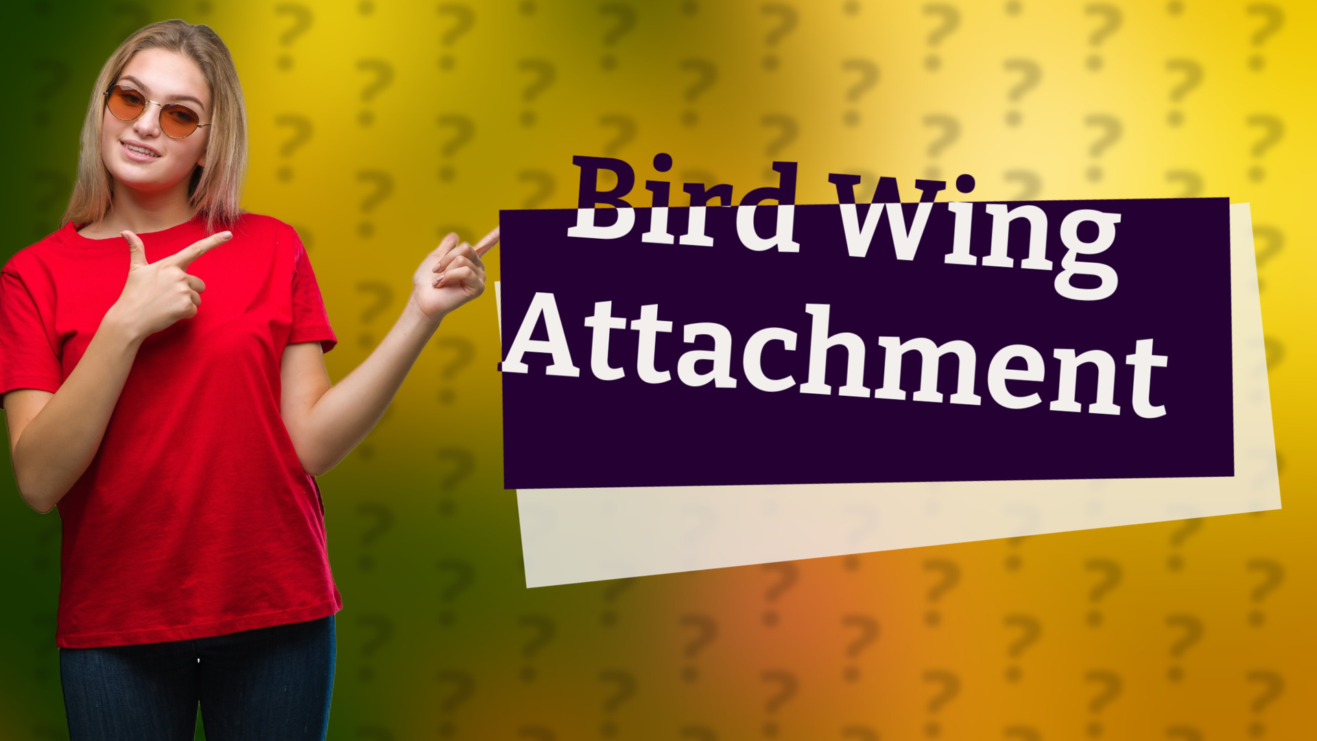 Bird Wing Attachment