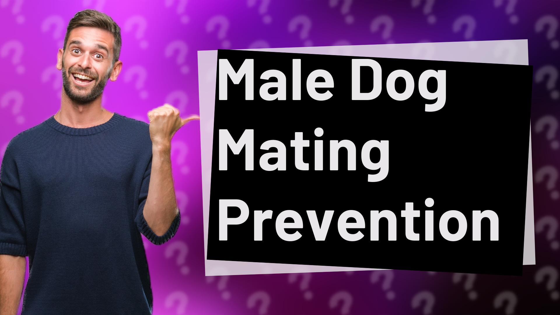 Male Dog Mating Prevention