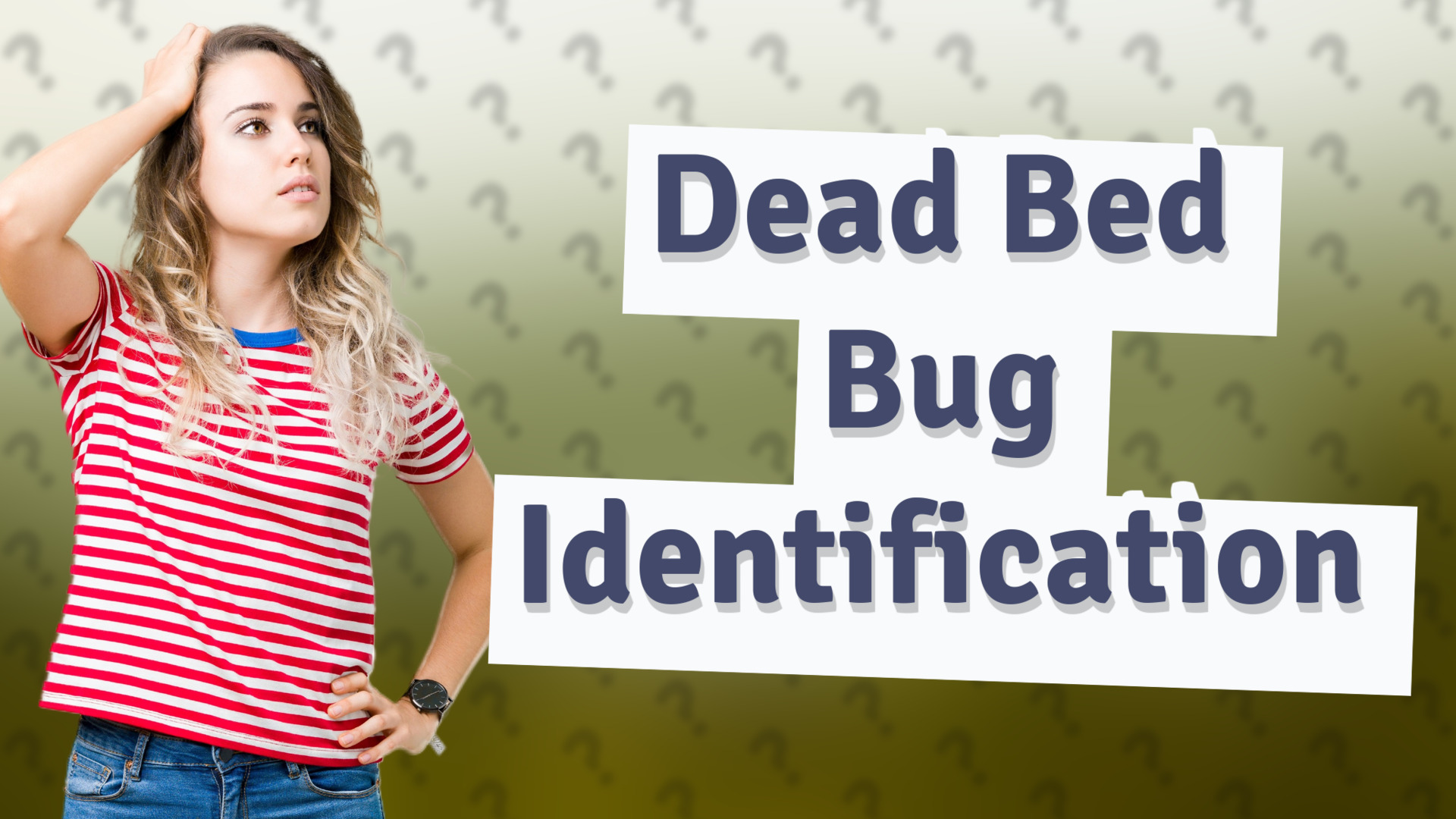 Dead Bed Bug Identification