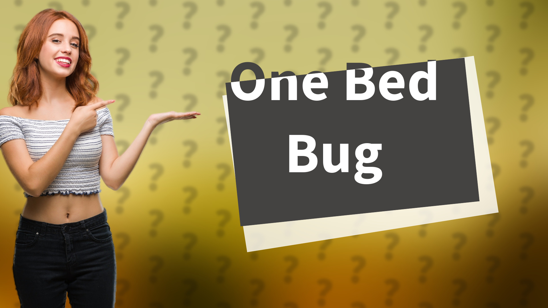 One Bed Bug