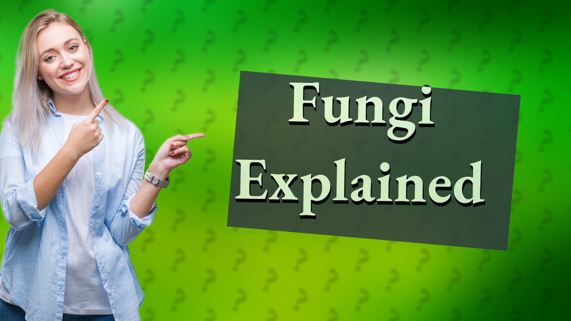 Fungi Explained