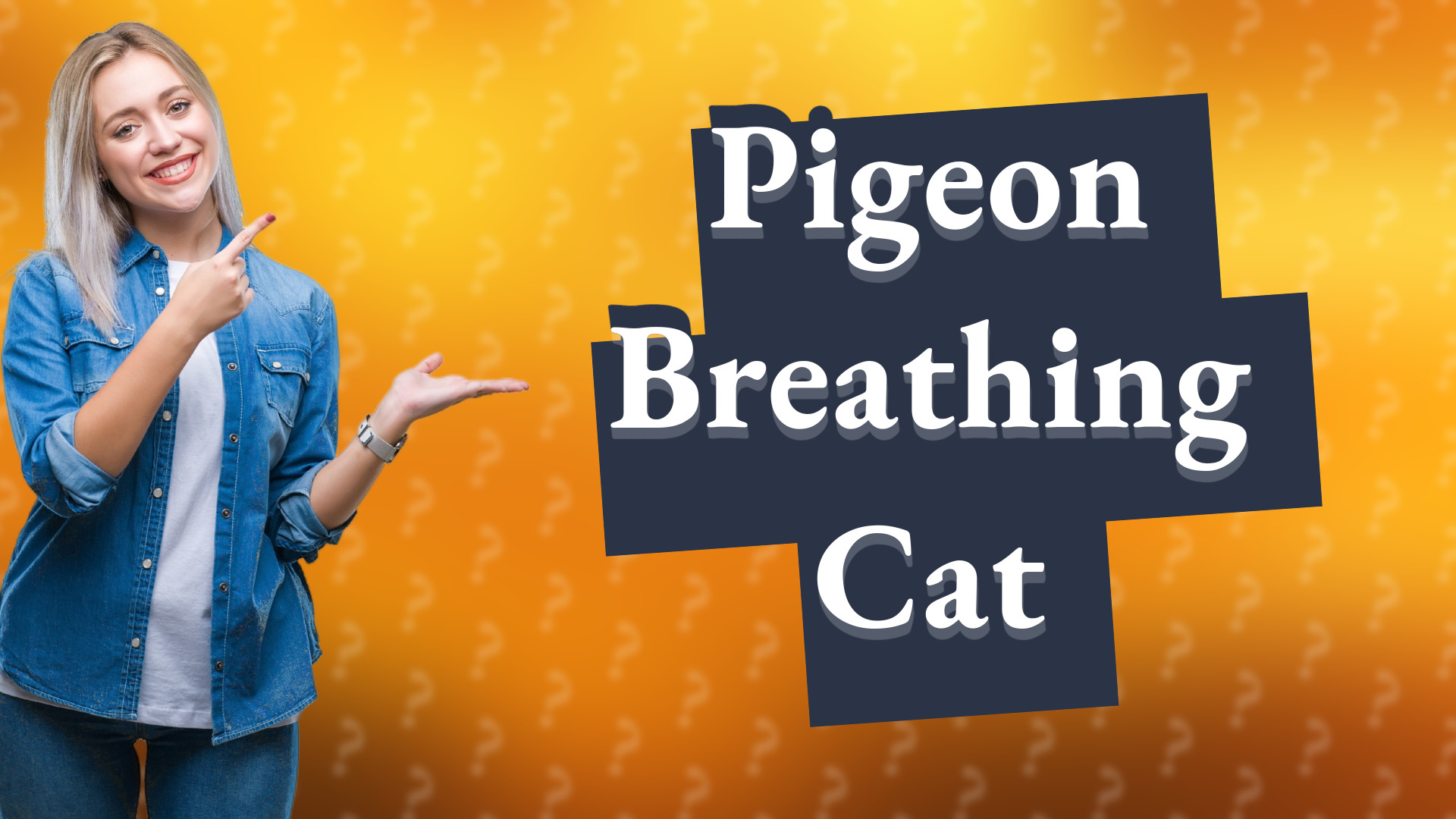 Pigeon Breathing Cat
