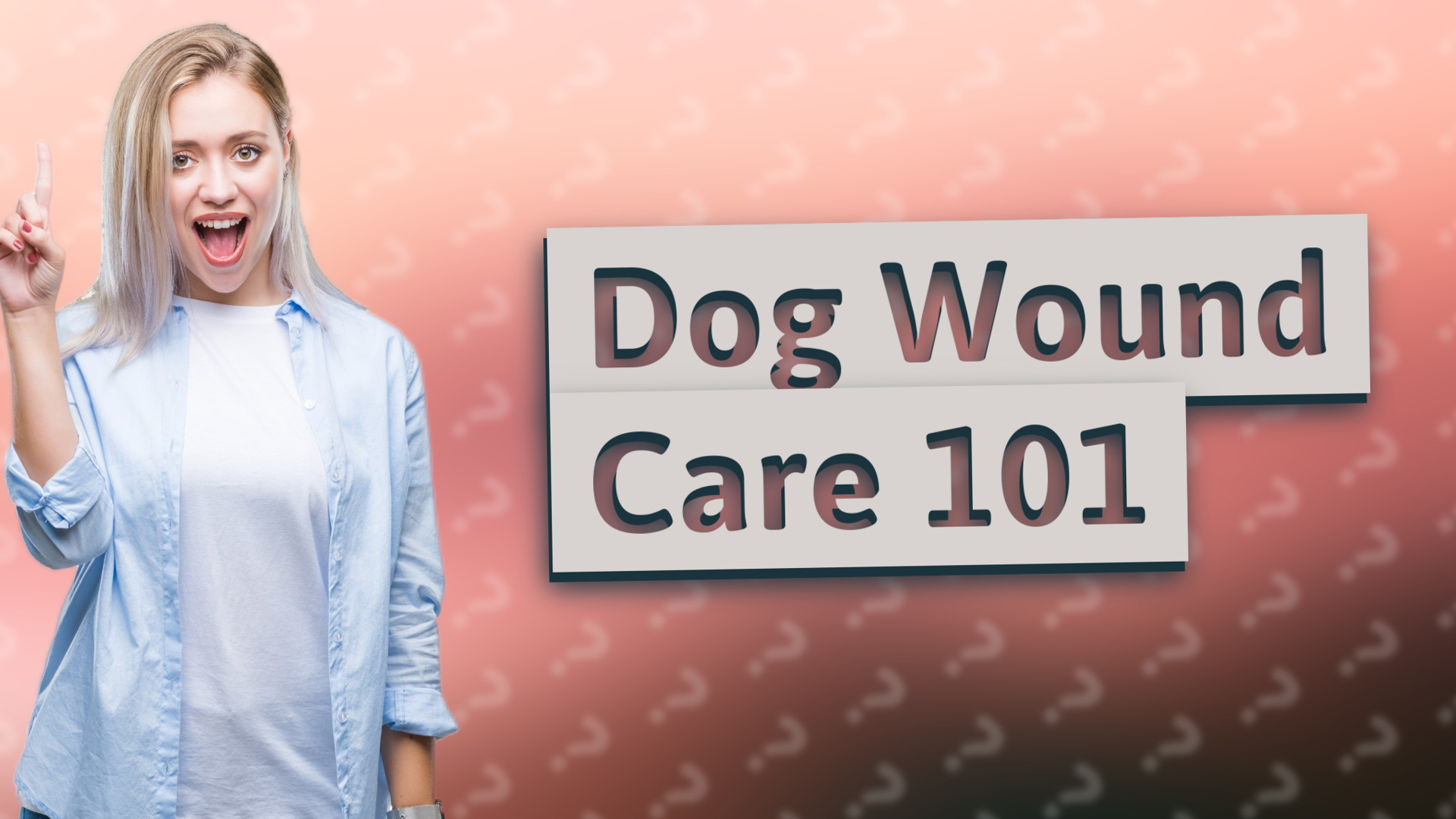 Dog Wound Care 101