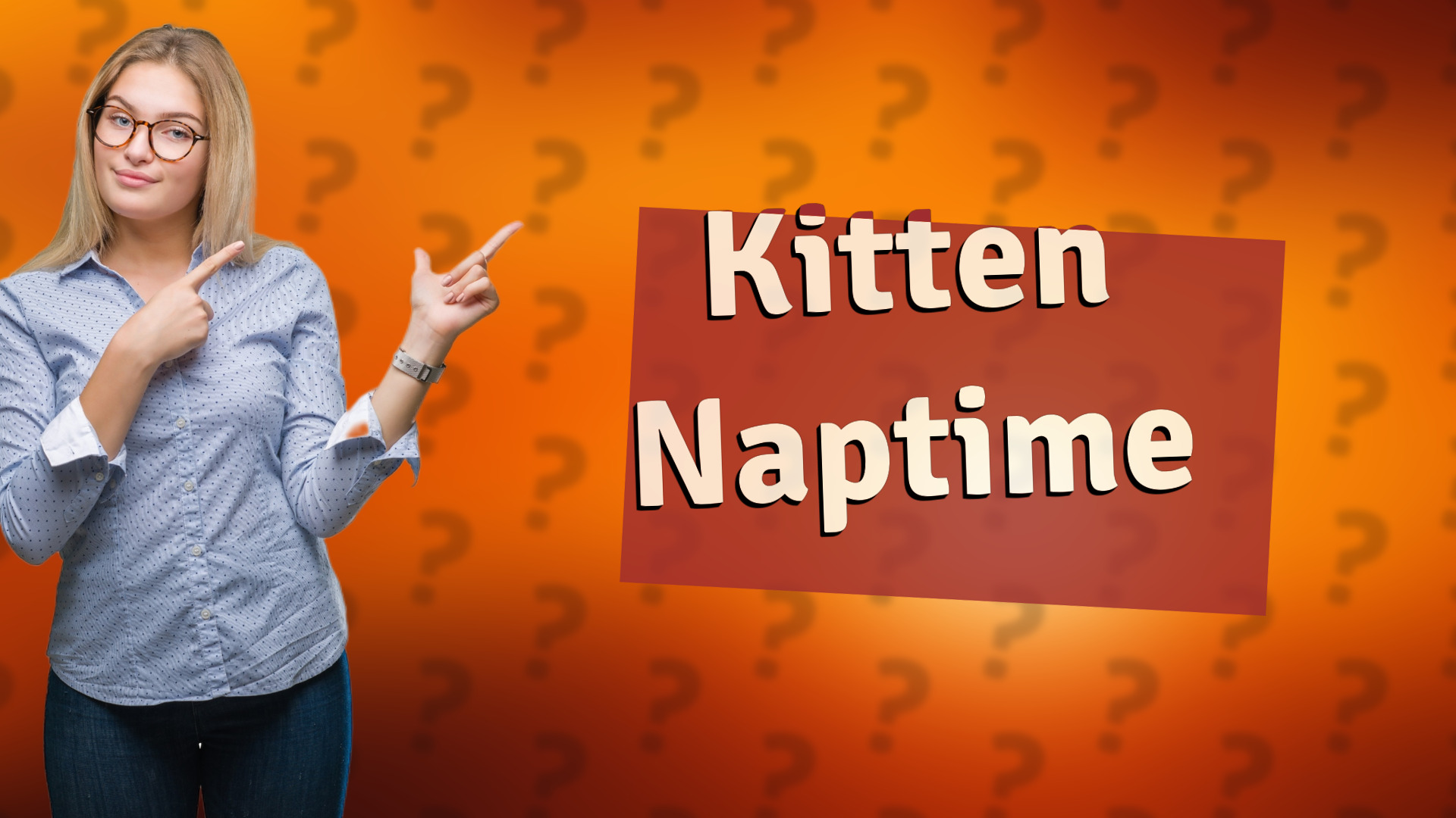 Kitten Naptime