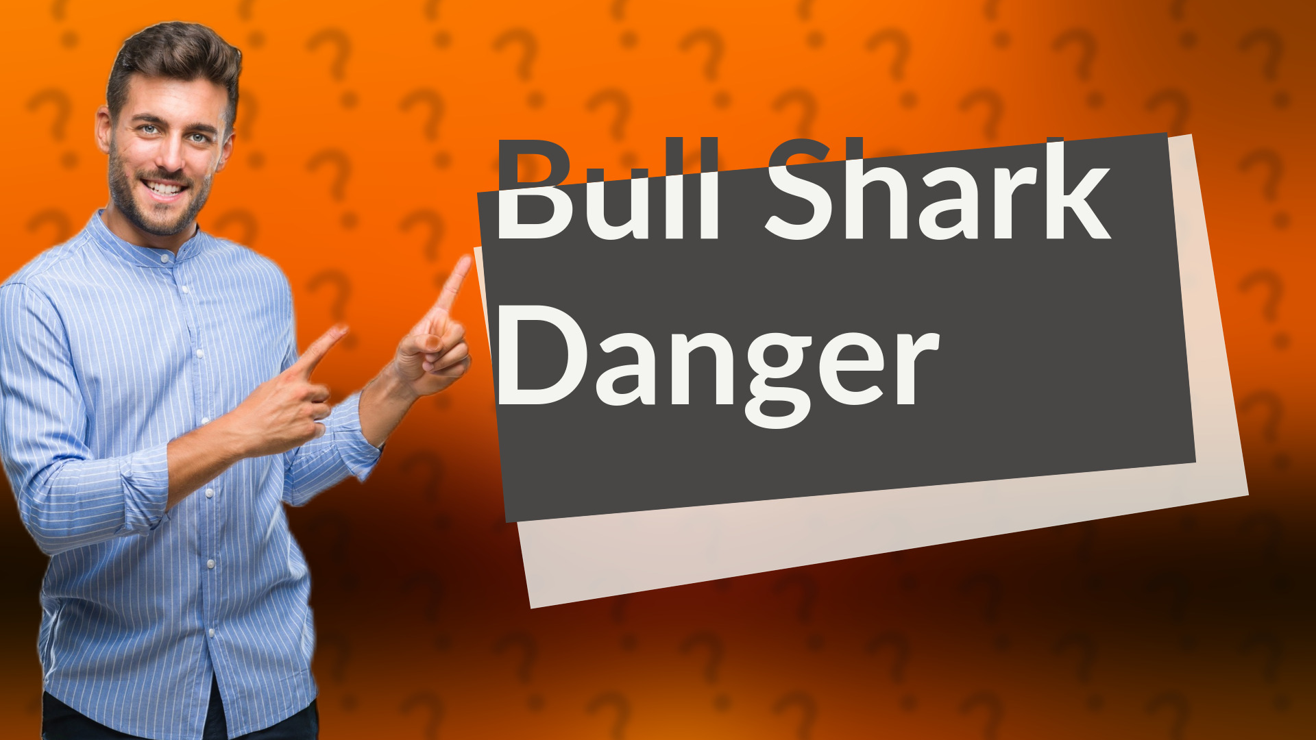 Bull Shark Danger