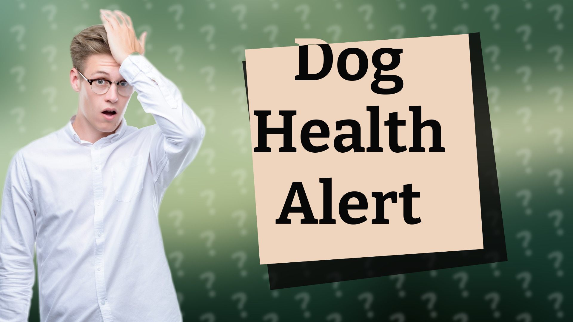 Dog Health Alert