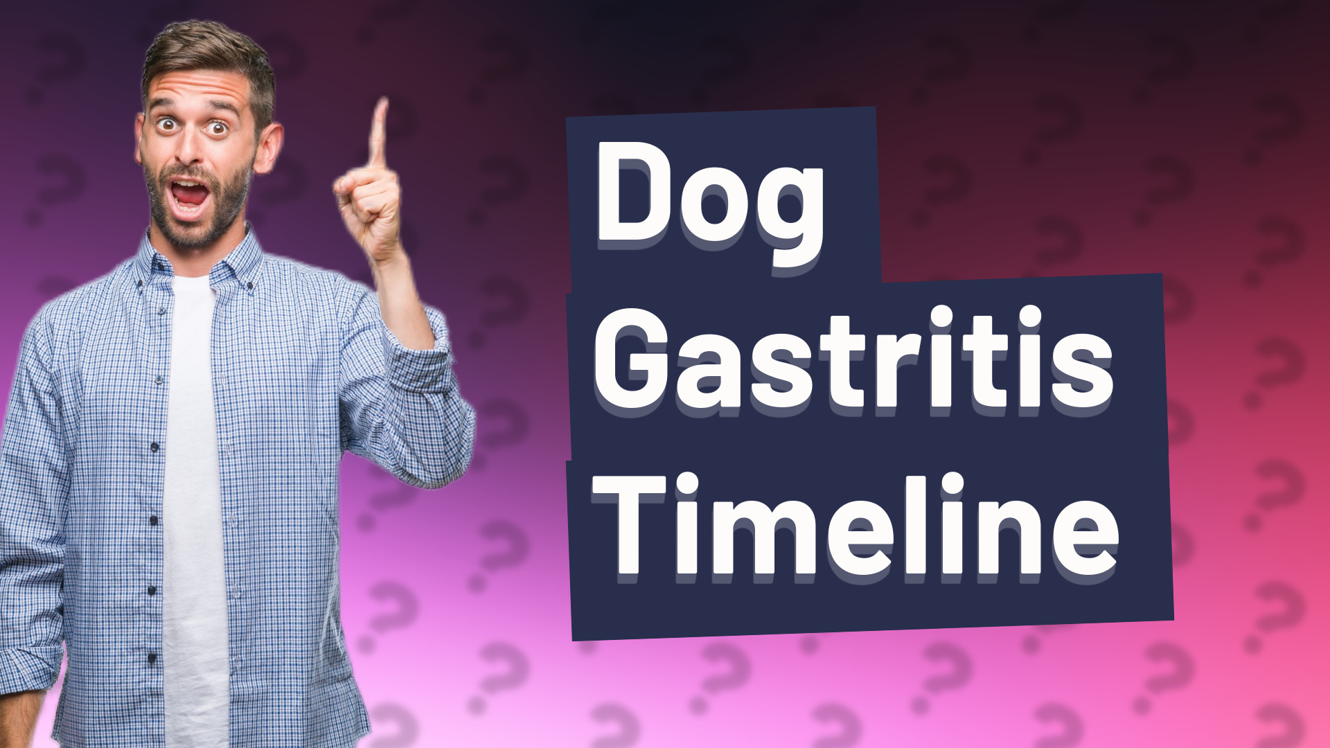 Dog Gastritis Timeline