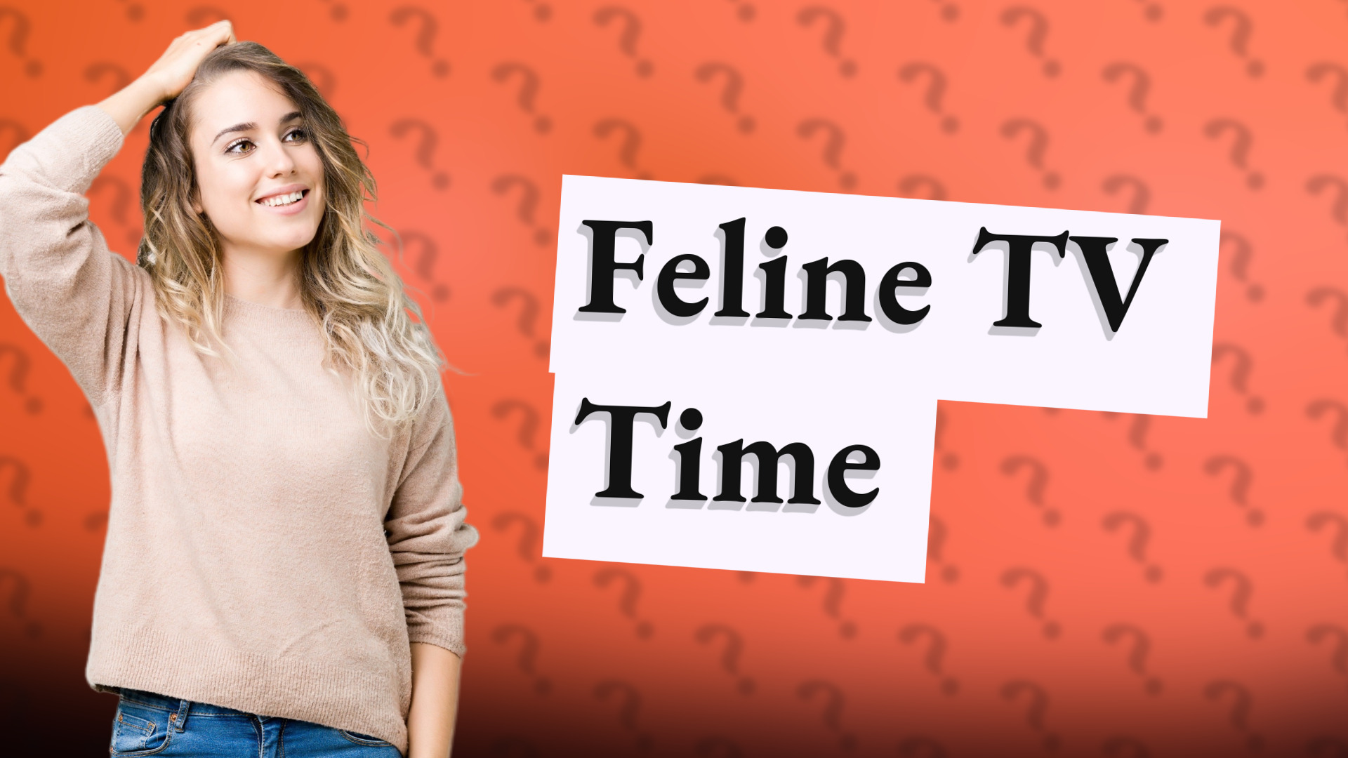 Feline TV Time