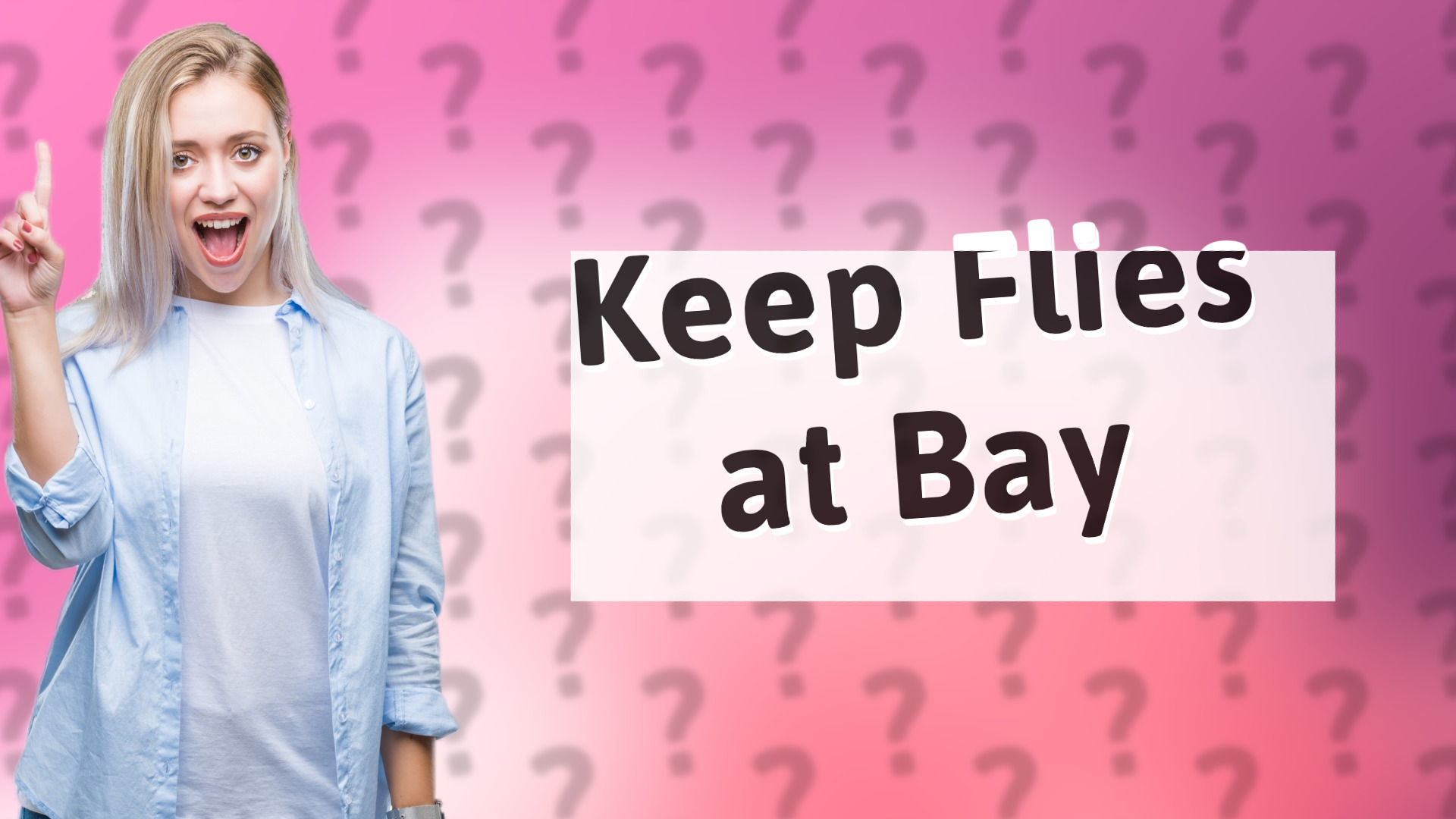 Keep Flies at Bay