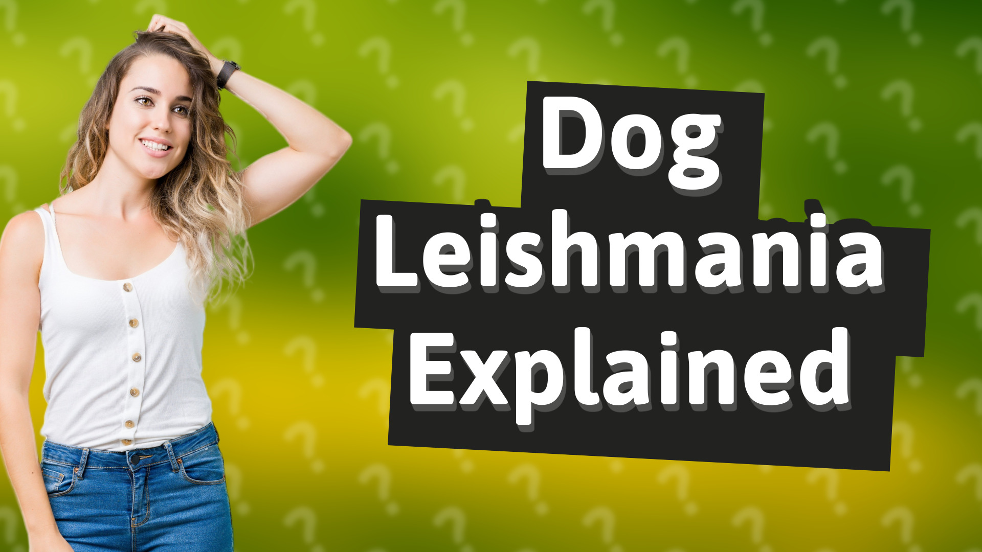 Dog Leishmania Explained